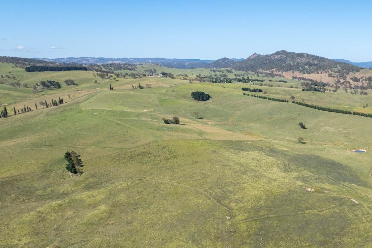 Lot 2 & 252 976 Sodwalls Road, Tarana For Sale by Farmbuy.com - image 12