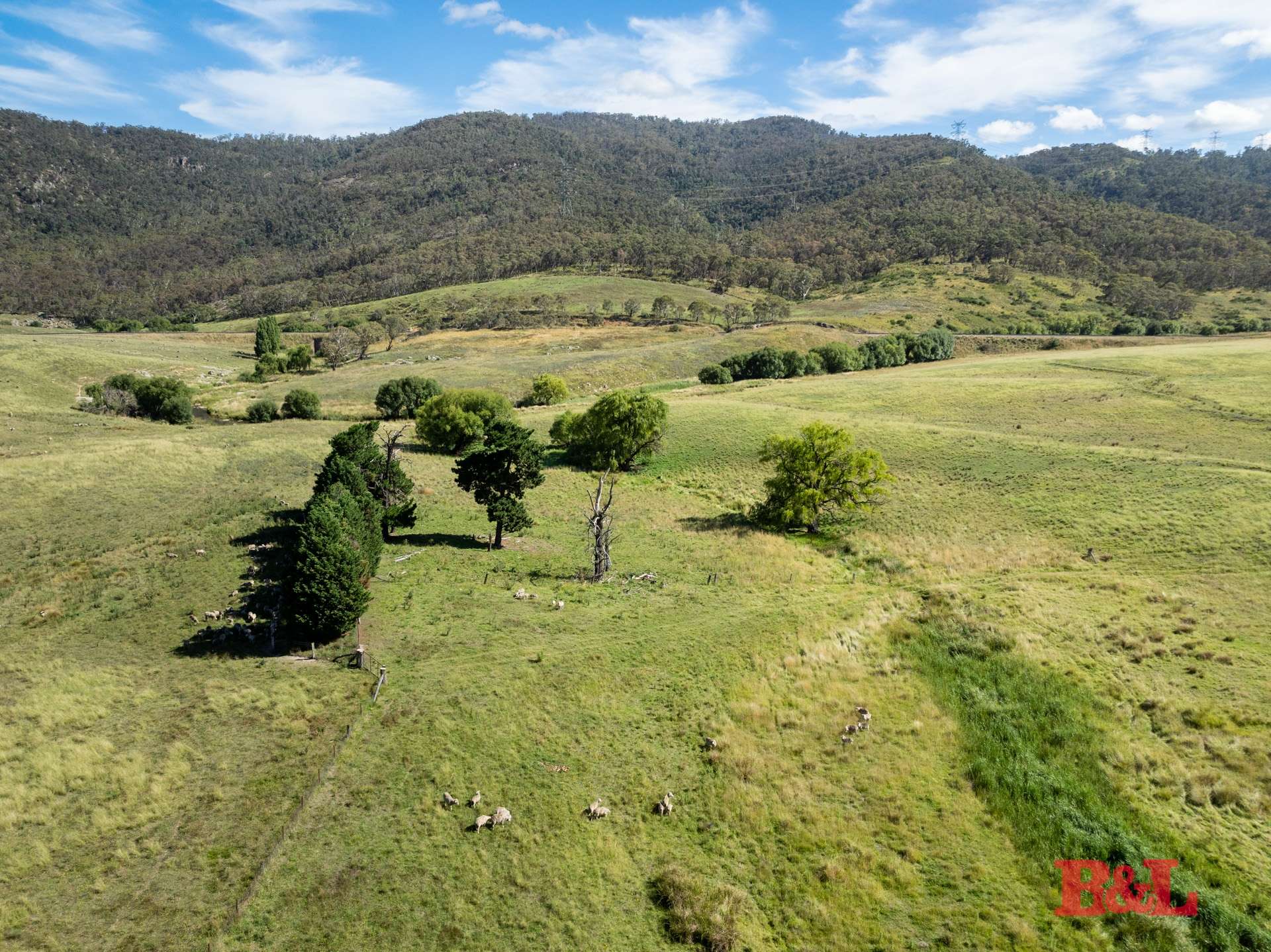 Lot 2 & 252 976 Sodwalls Road, Tarana For Sale by Farmbuy.com - image 15