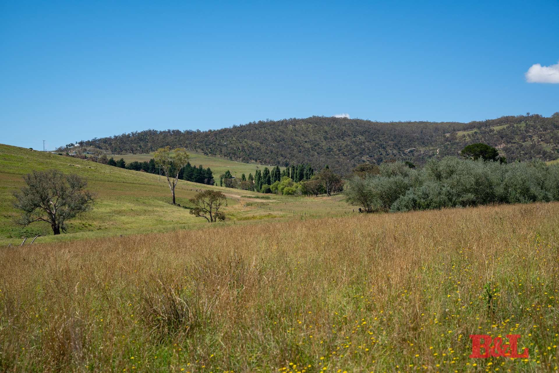 Lot 2 & 252 976 Sodwalls Road, Tarana For Sale by Farmbuy.com - image 34