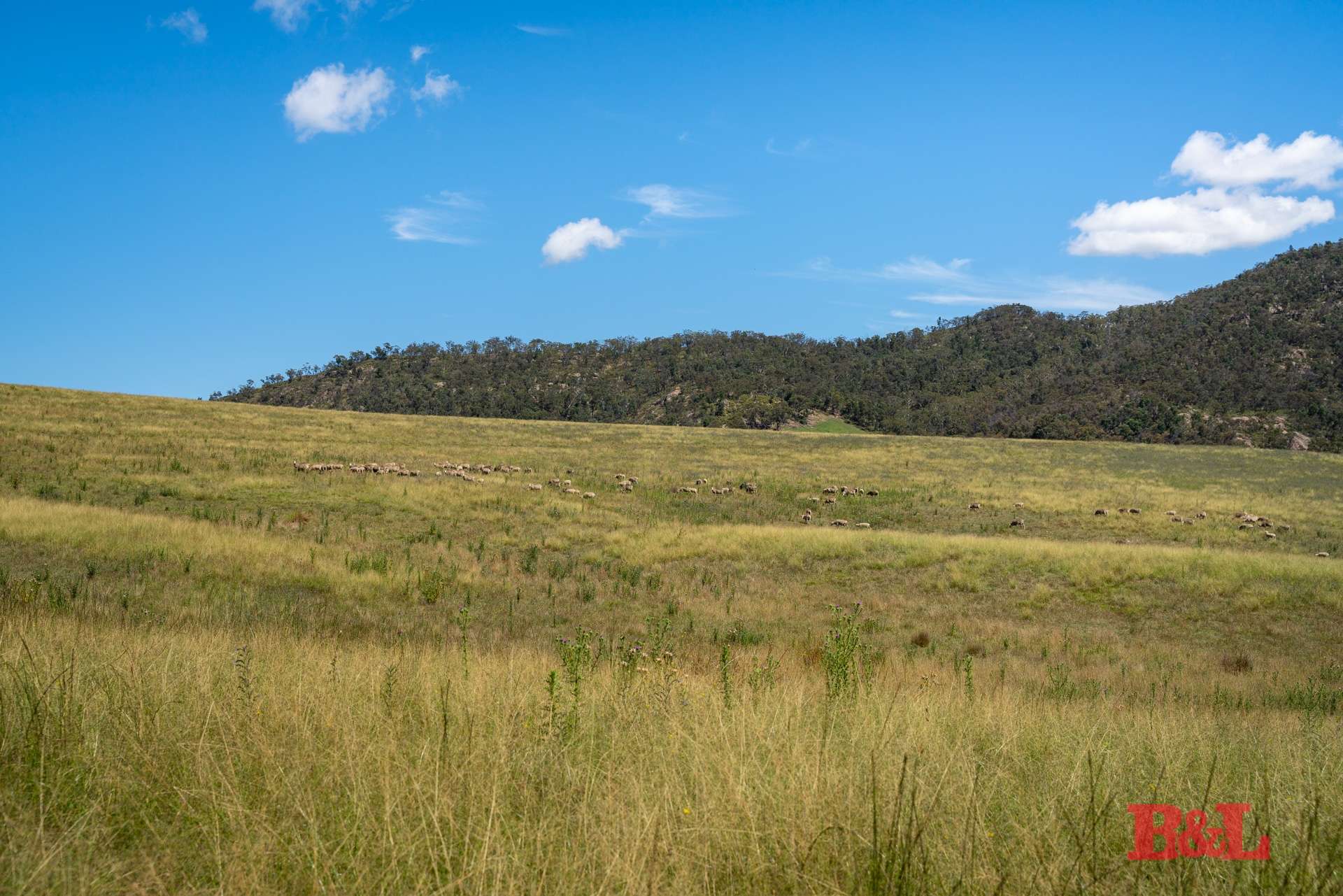 Lot 2 & 252 976 Sodwalls Road, Tarana For Sale by Farmbuy.com - image 3