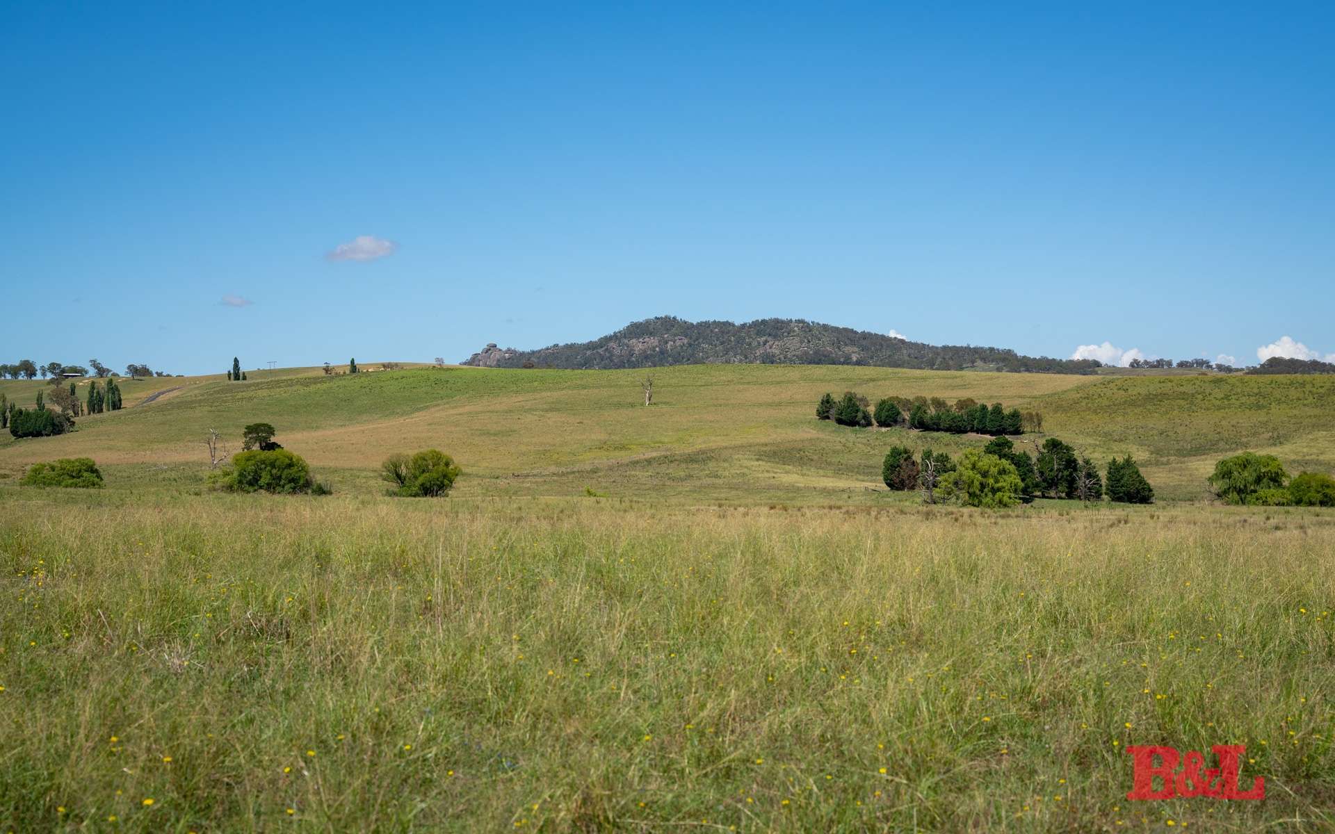 Lot 2 & 252 976 Sodwalls Road, Tarana For Sale by Farmbuy.com - image 30