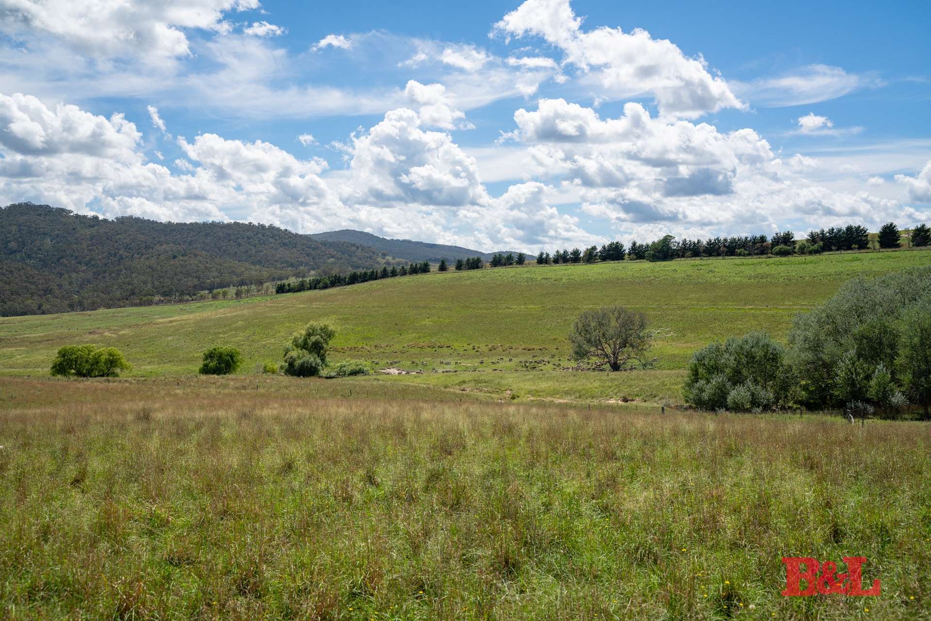 Lot 2 & 252 976 Sodwalls Road, Tarana For Sale by Farmbuy.com - image 1