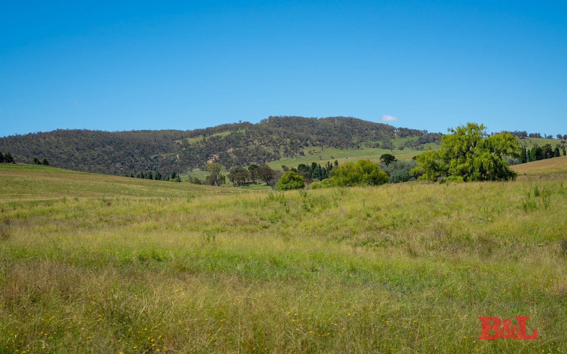 Lot 2 & 252 976 Sodwalls Road, Tarana For Sale by Farmbuy.com - image 33