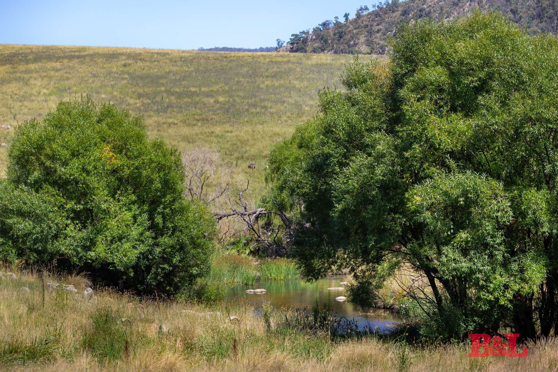 Lot 2 & 252 976 Sodwalls Road, Tarana For Sale by Farmbuy.com - image 12