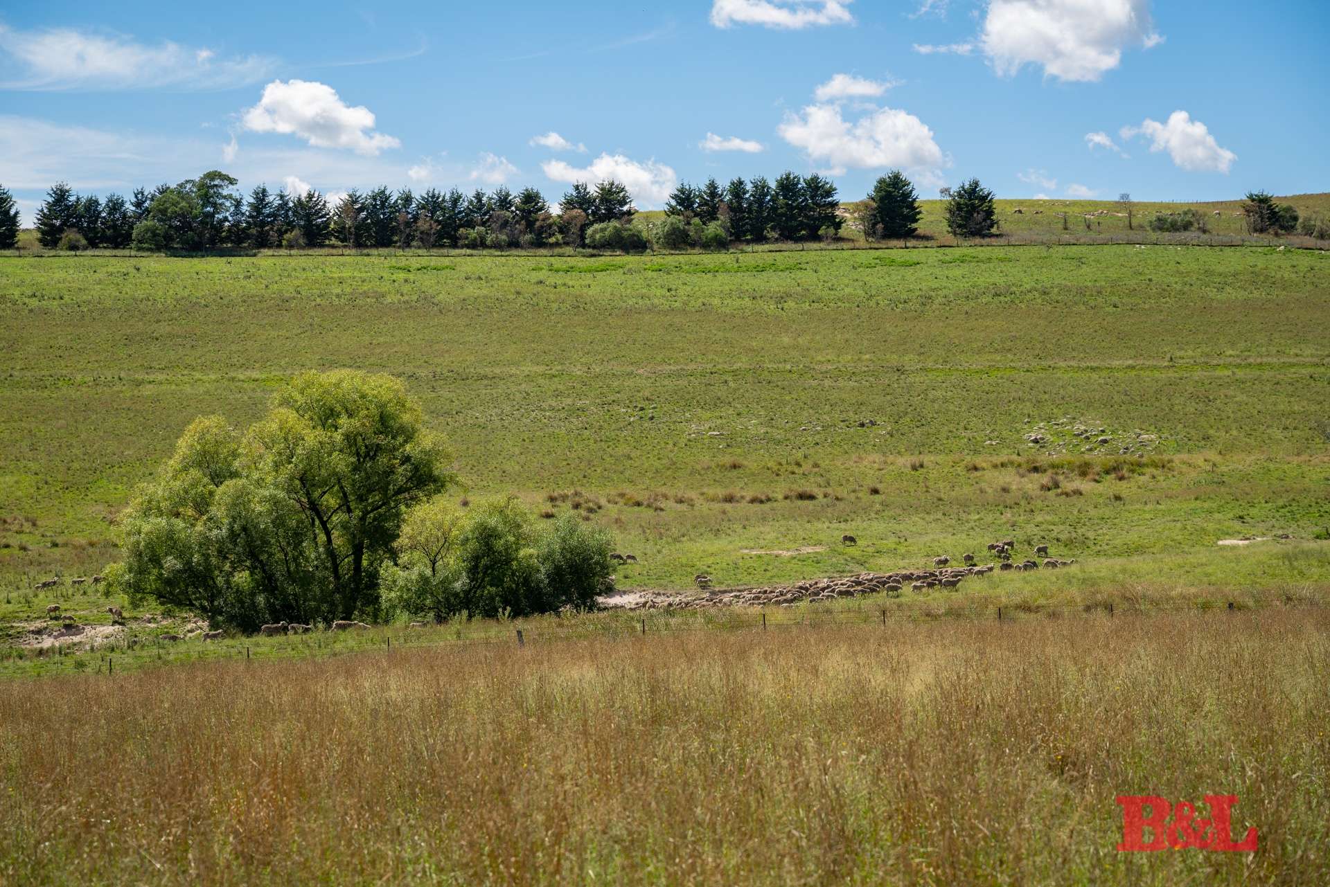 Lot 2 & 252 976 Sodwalls Road, Tarana For Sale by Farmbuy.com - image 35