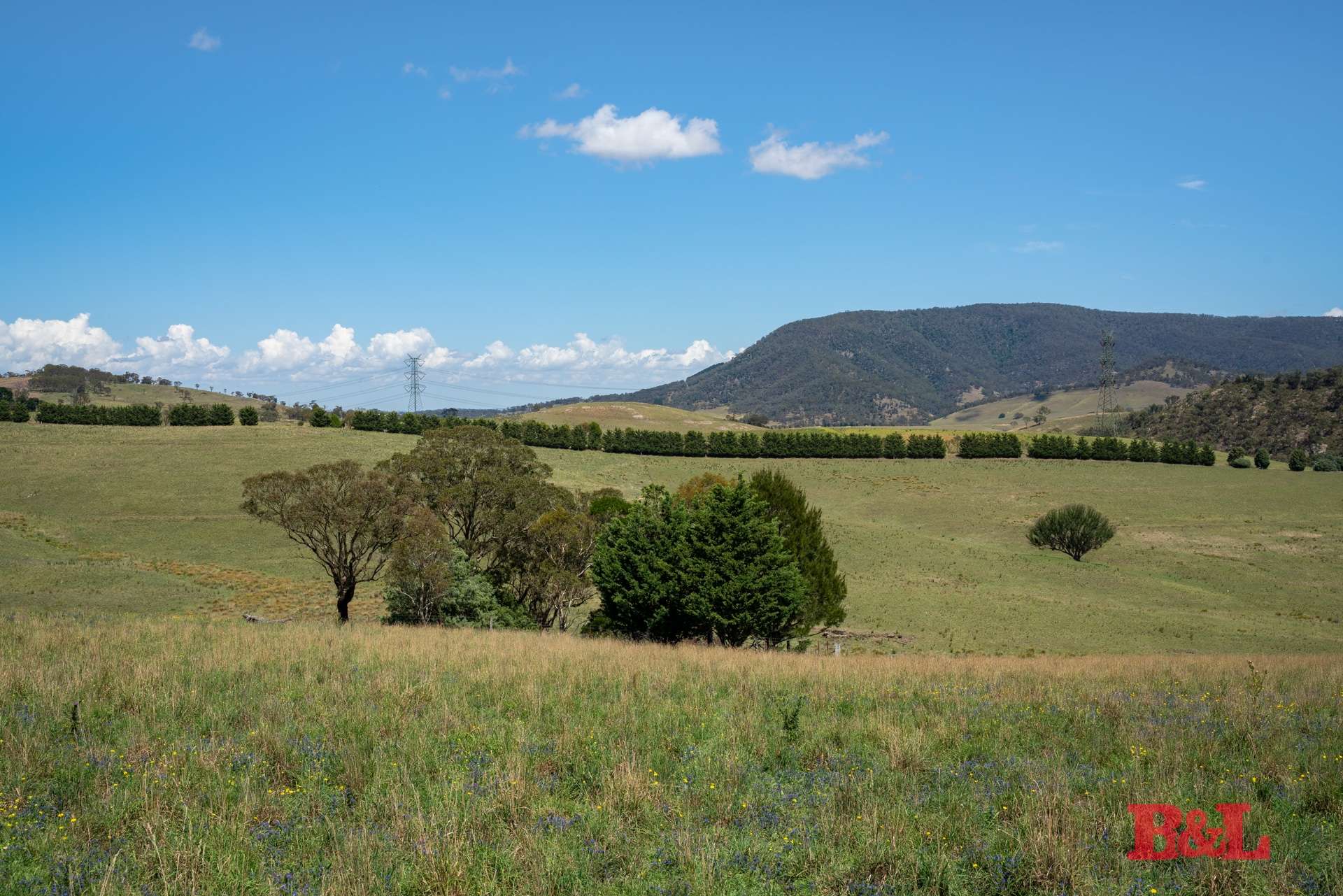 Lot 2 & 252 976 Sodwalls Road, Tarana For Sale by Farmbuy.com - image 35