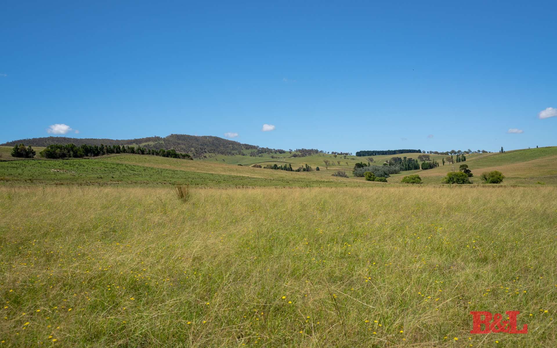 Lot 2 & 252 976 Sodwalls Road, Tarana For Sale by Farmbuy.com - image 4