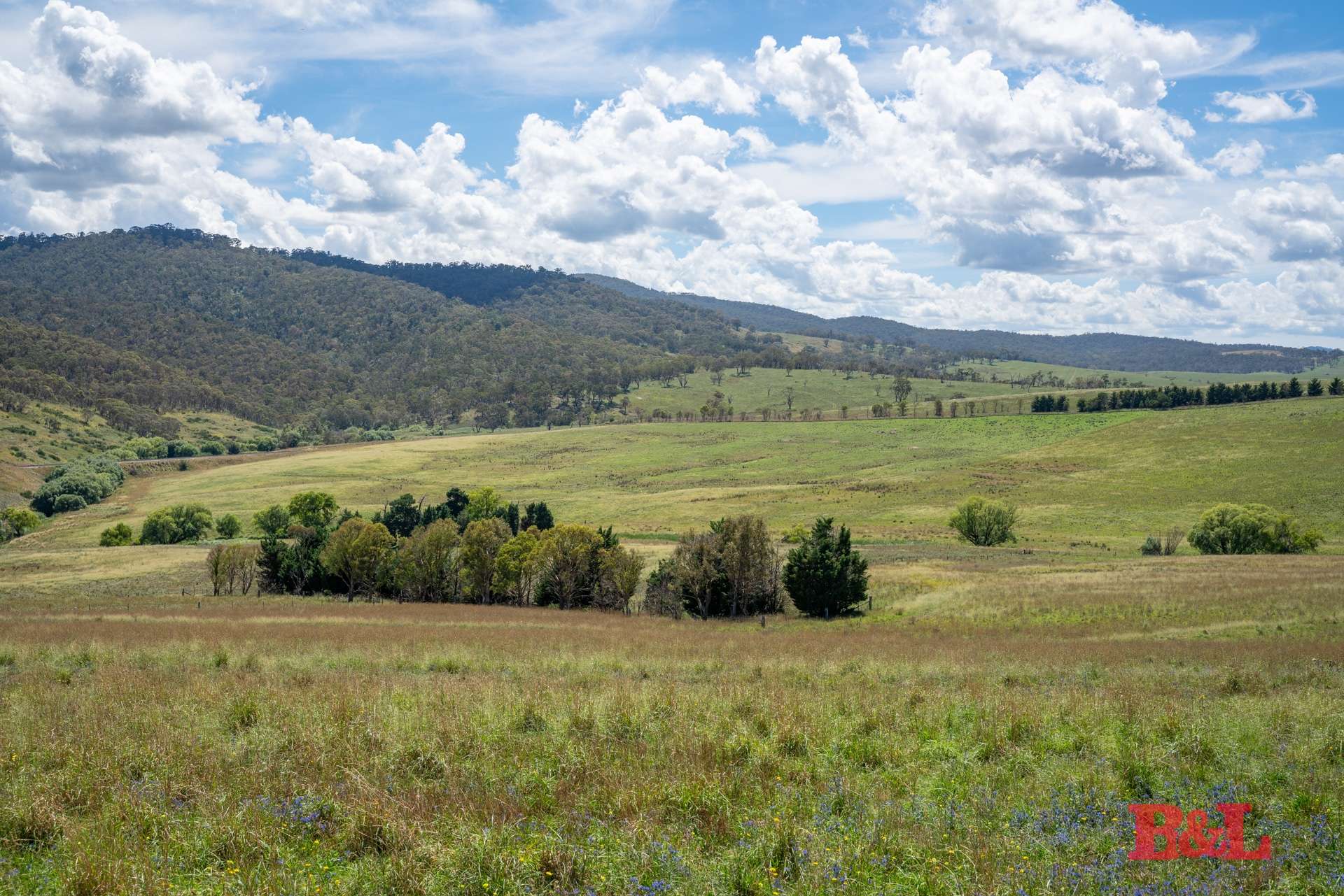 Lot 2 & 252 976 Sodwalls Road, Tarana For Sale by Farmbuy.com - image 22