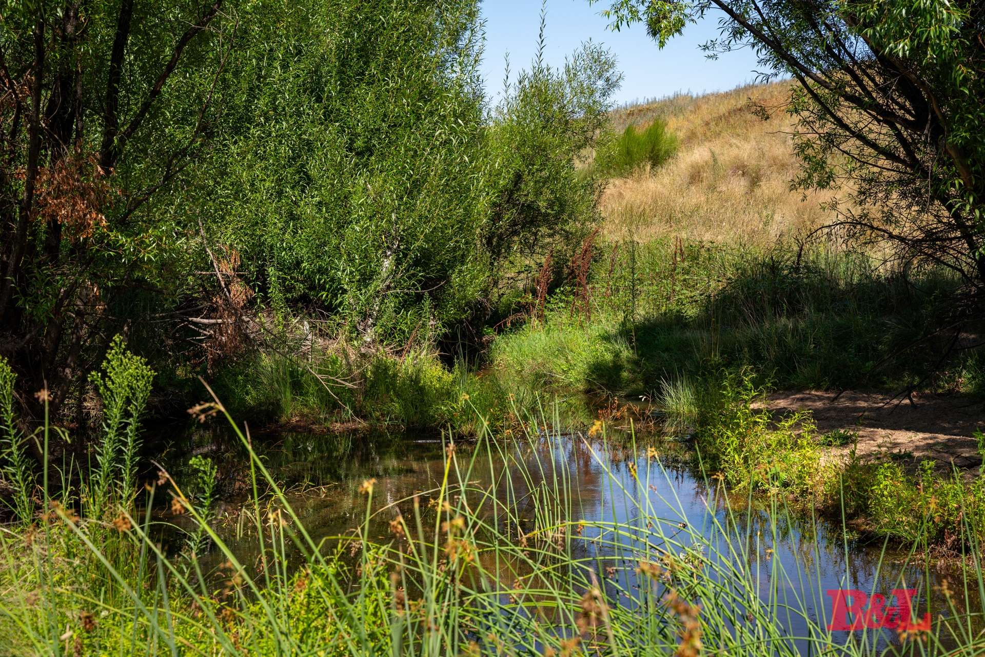 Lot 2 & 252 976 Sodwalls Road, Tarana For Sale by Farmbuy.com - image 13