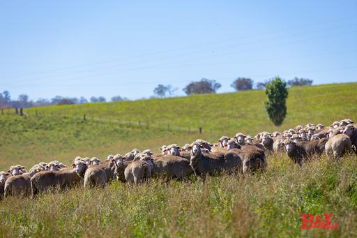 Lot 2 & 252 976 Sodwalls Road, Tarana NSW 2787