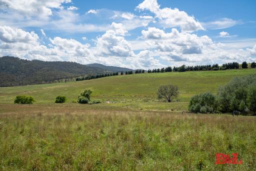 Farm For Sale - NSW - Tarana - 2787 - 