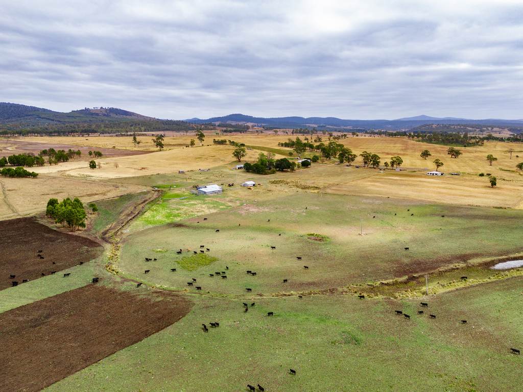 196 Court Farm Road, Buckland TAS 7190