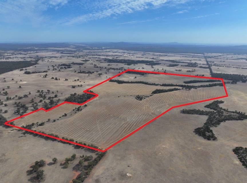 Lot 8 Dunolly-Orville Road, Murphys Creek For Sale by Farmbuy.com - image 1