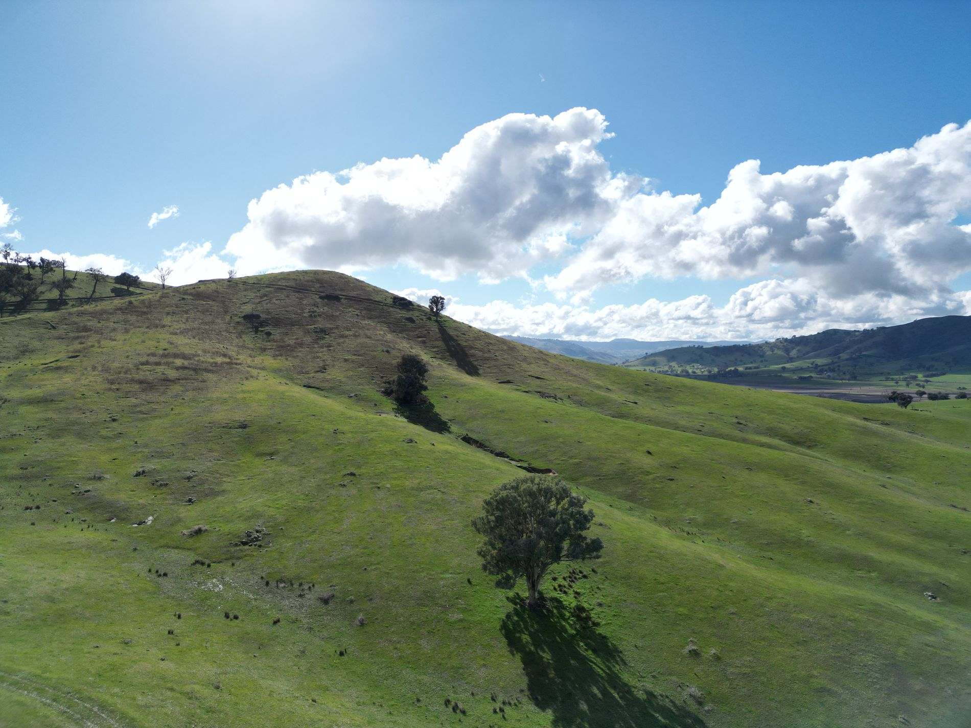 Lot 1, LP135805 Kiewa East Road, Tangambalanga For Sale by Farmbuy.com - image 3