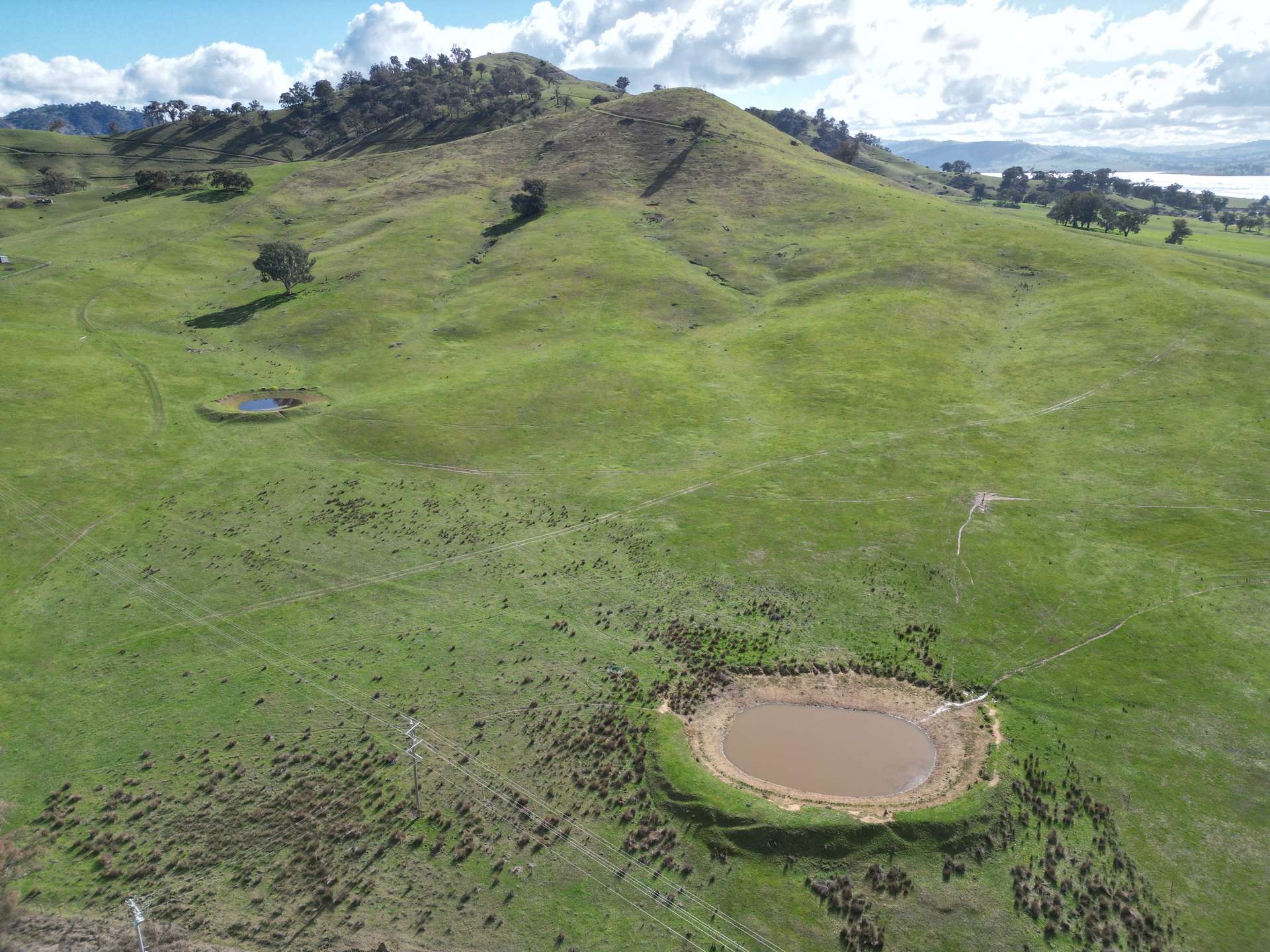 Lot 1, LP135805 Kiewa East Road, Tangambalanga For Sale by Farmbuy.com - image 7