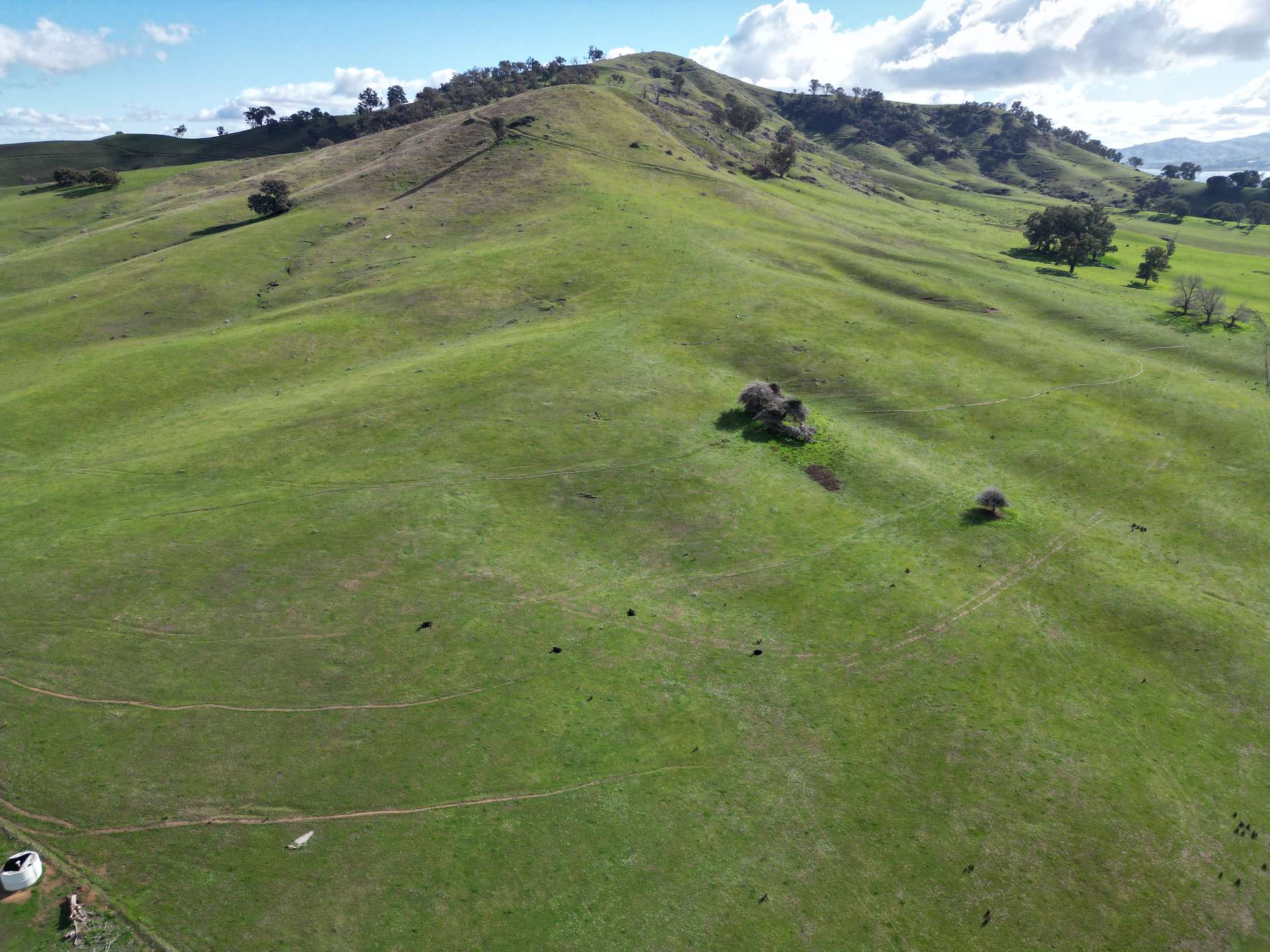 Lot 1, LP135805 Kiewa East Road, Tangambalanga For Sale by Farmbuy.com - image 9