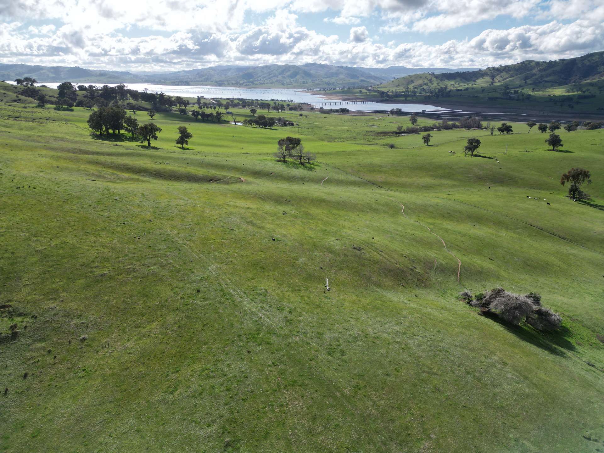 Lot 1, LP135805 Kiewa East Road, Tangambalanga For Sale by Farmbuy.com - image 10
