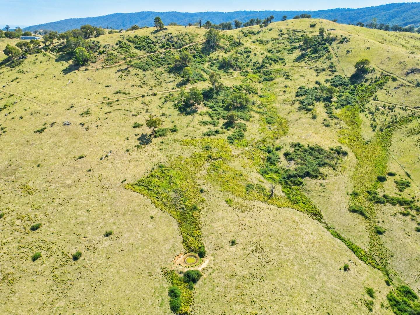 Lot 101, 858 Sirls Road, Jarvis Creek For Sale by Farmbuy.com - image 3