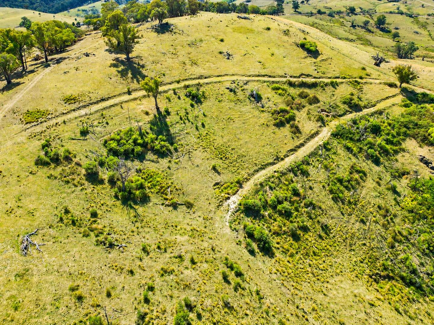 Lot 101, 858 Sirls Road, Jarvis Creek For Sale by Farmbuy.com - image 4