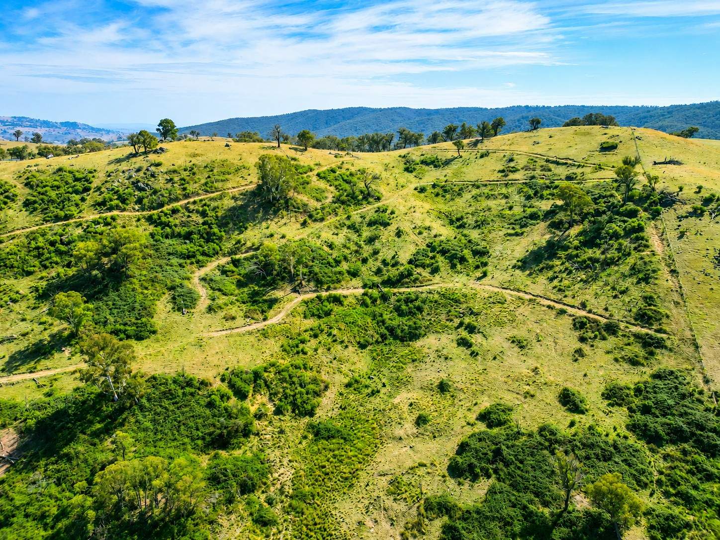 Lot 101, 858 Sirls Road, Jarvis Creek For Sale by Farmbuy.com - image 2