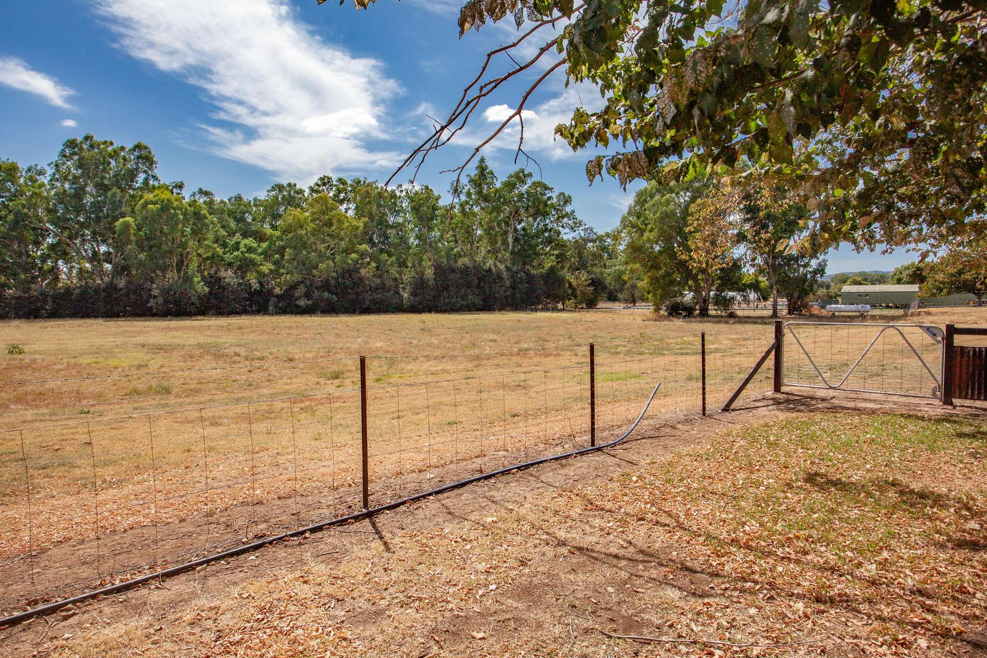 15 Falls Rd, Wellington For Sale by Farmbuy.com - image 26