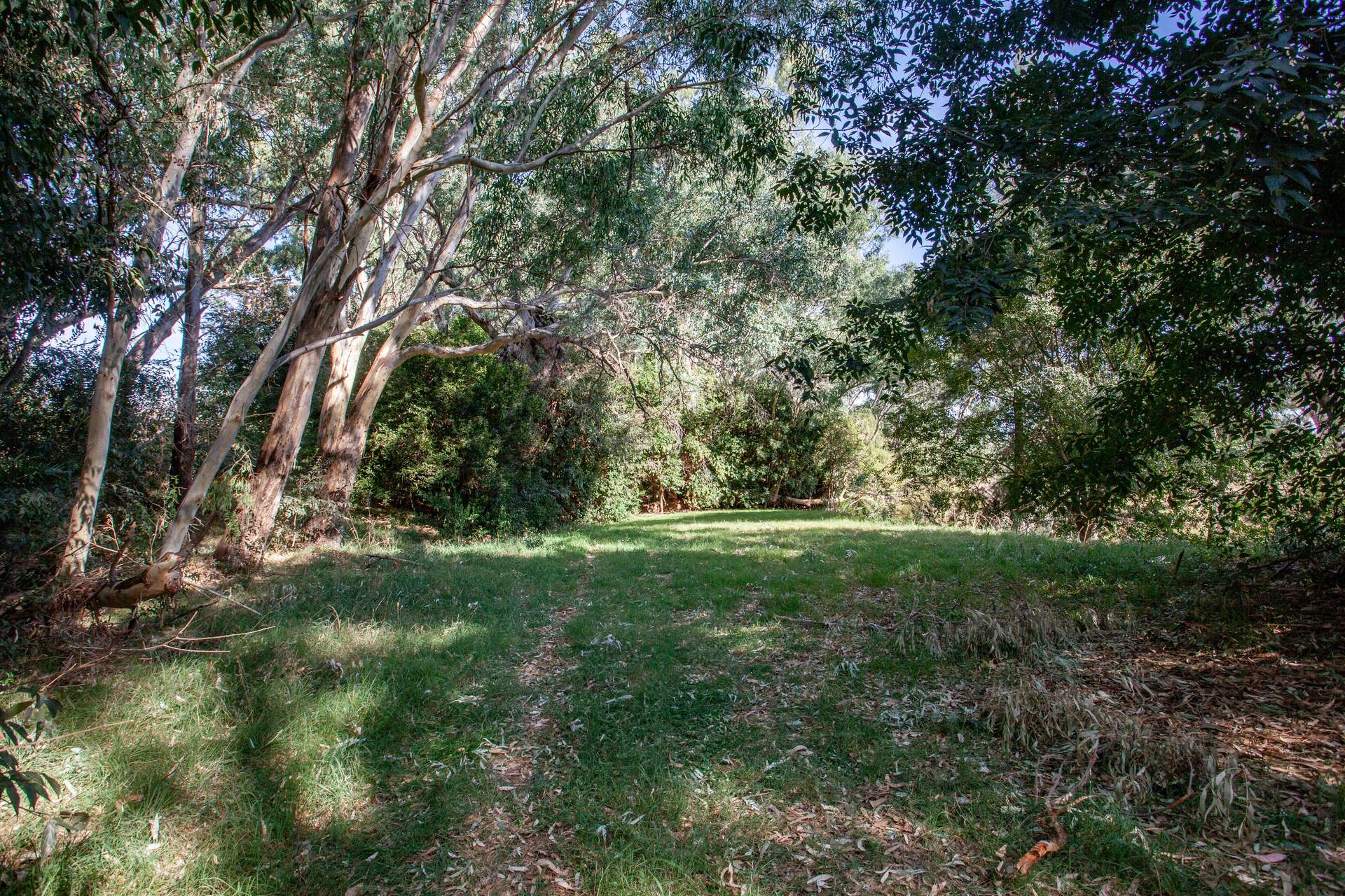 15 Falls Rd, Wellington For Sale by Farmbuy.com - image 31