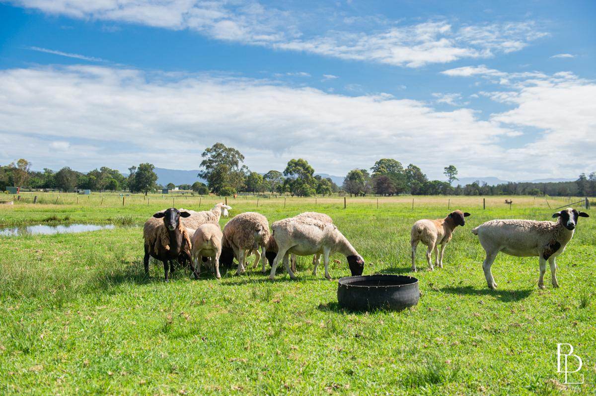 16 Oakbanks Place, Worrigee For Sale by Farmbuy.com - image 28