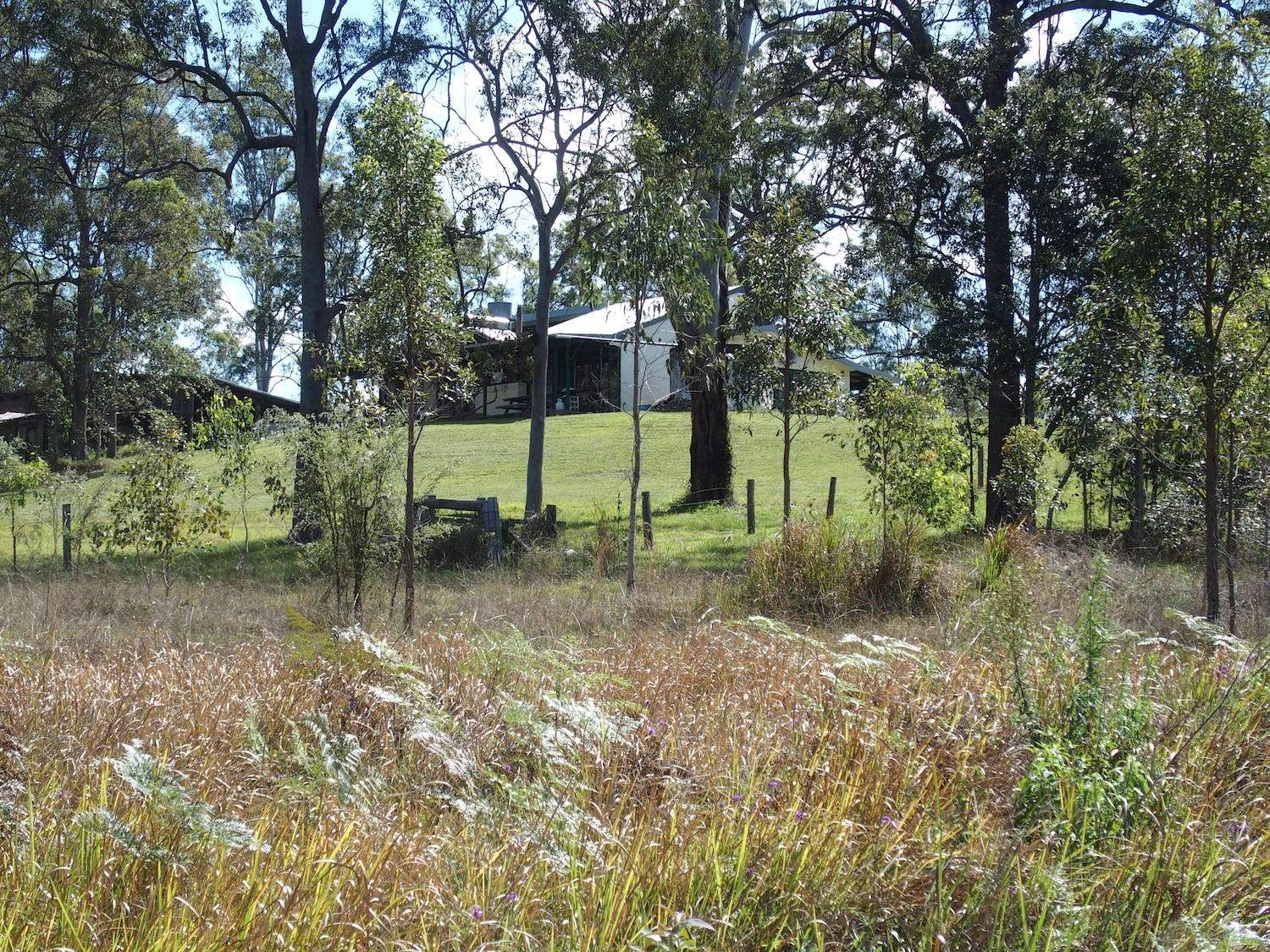 40 Whiteman Creek Road, Whiteman Creek For Sale by Farmbuy.com - image 21