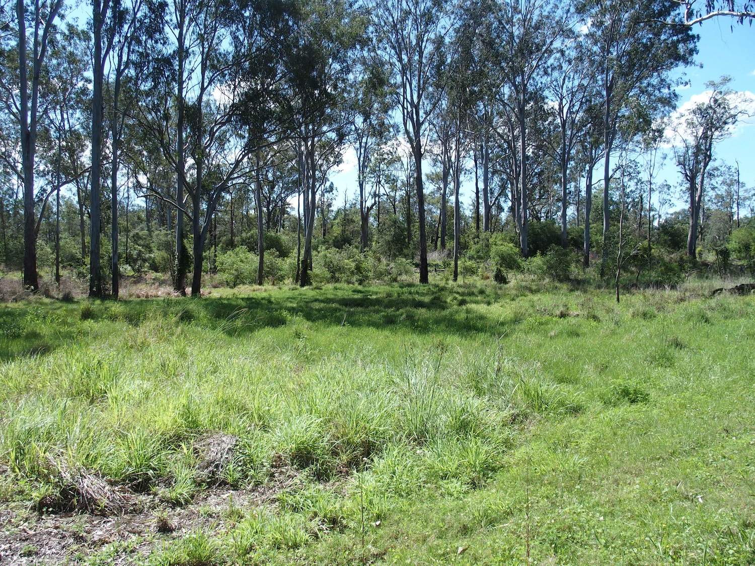 40 Whiteman Creek Road, Whiteman Creek For Sale by Farmbuy.com - image 30