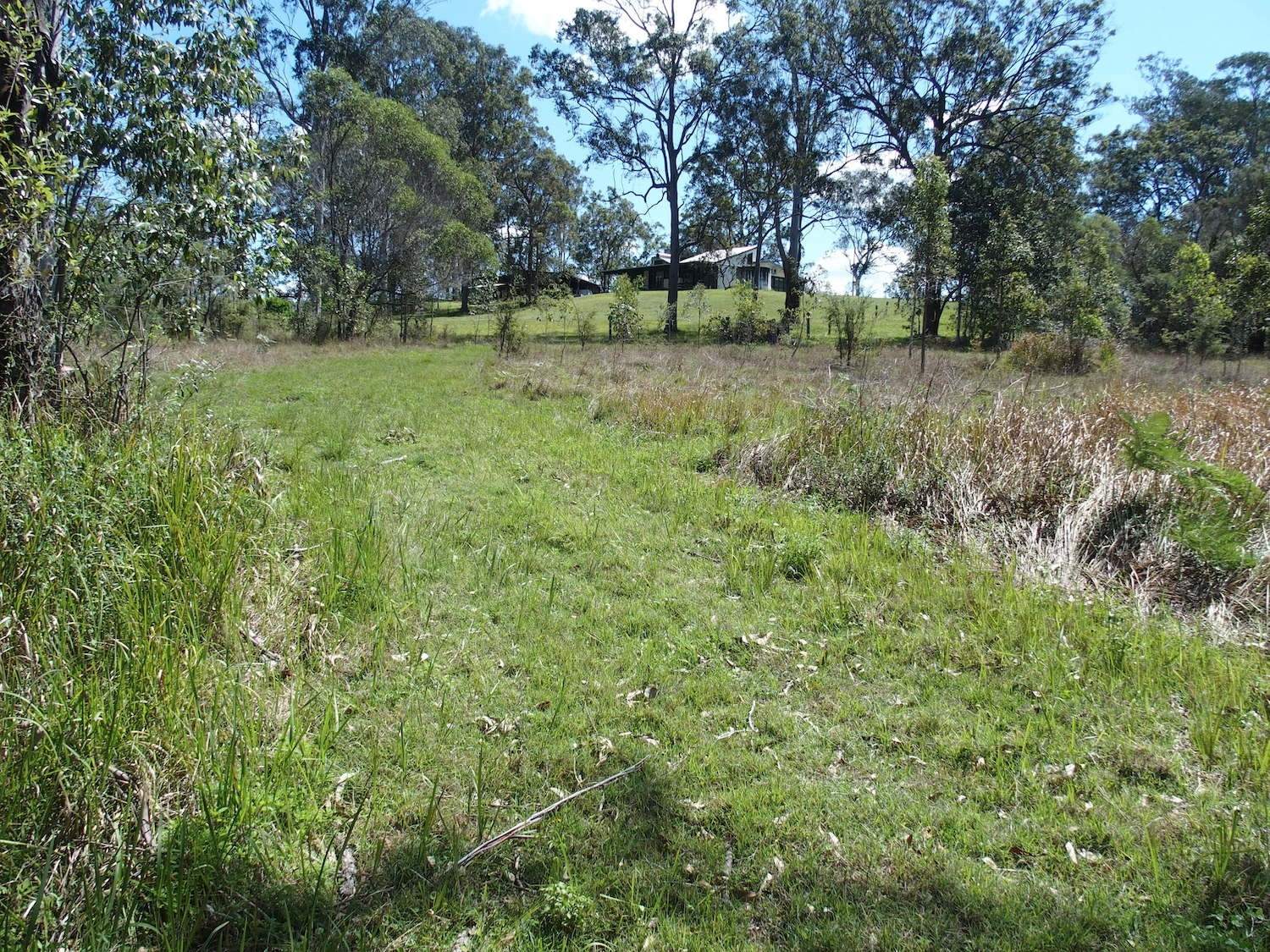 40 Whiteman Creek Road, Whiteman Creek For Sale by Farmbuy.com - image 8