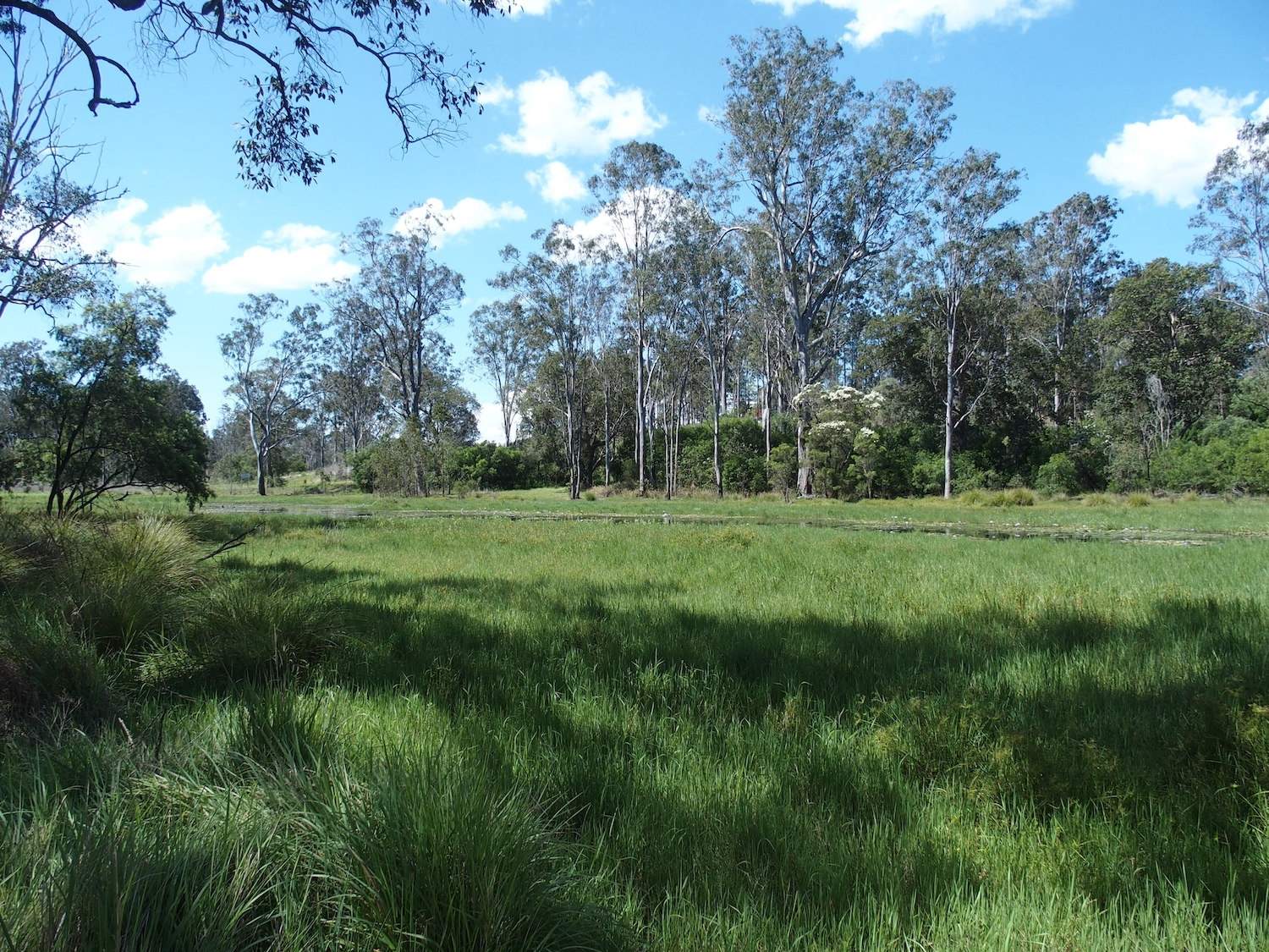 40 Whiteman Creek Road, Whiteman Creek For Sale by Farmbuy.com - image 33