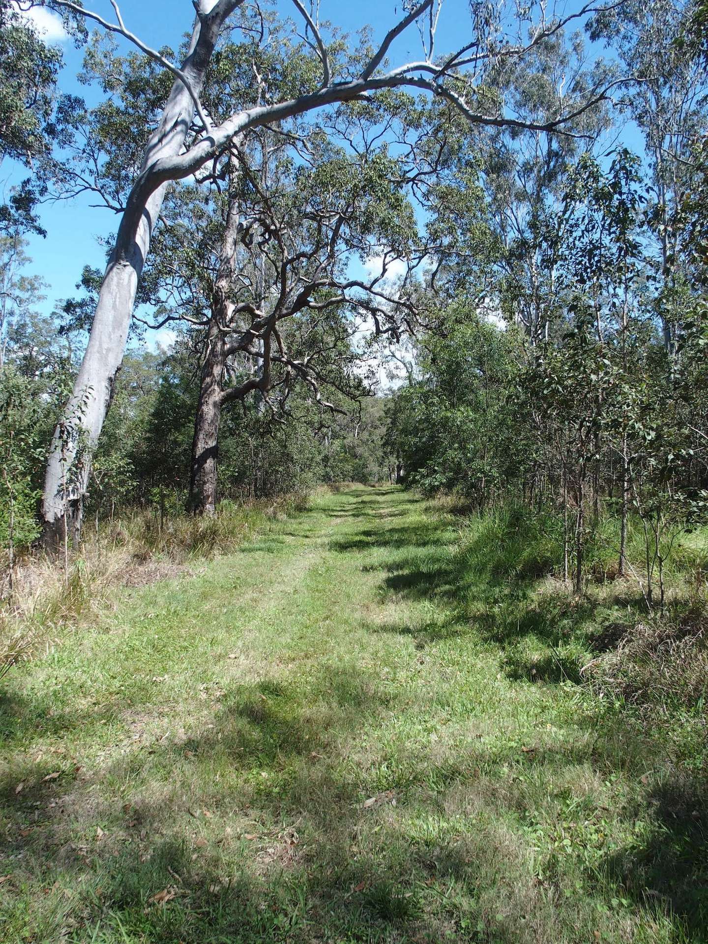 40 Whiteman Creek Road, Whiteman Creek For Sale by Farmbuy.com - image 32