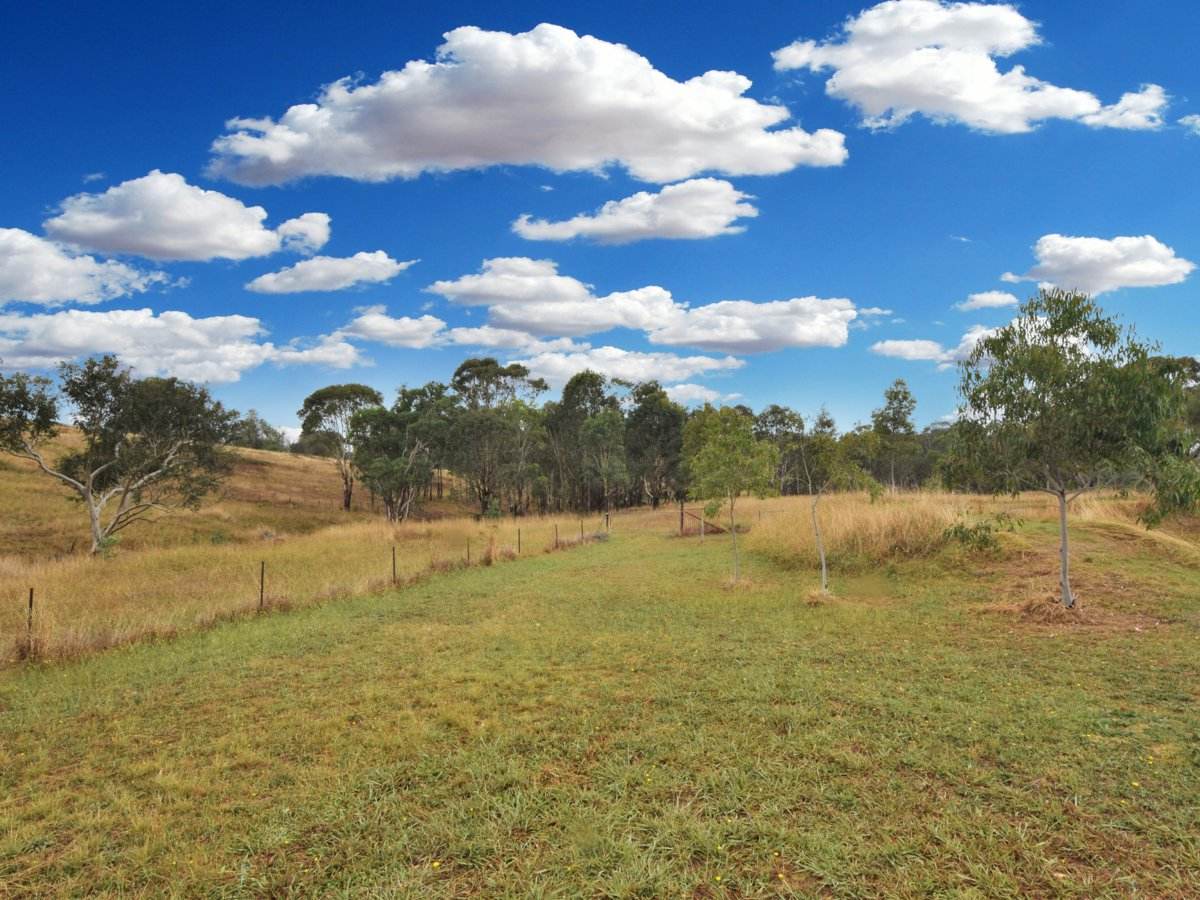 100 Hollands Road, Young Sold by Farmbuy.com - image 21