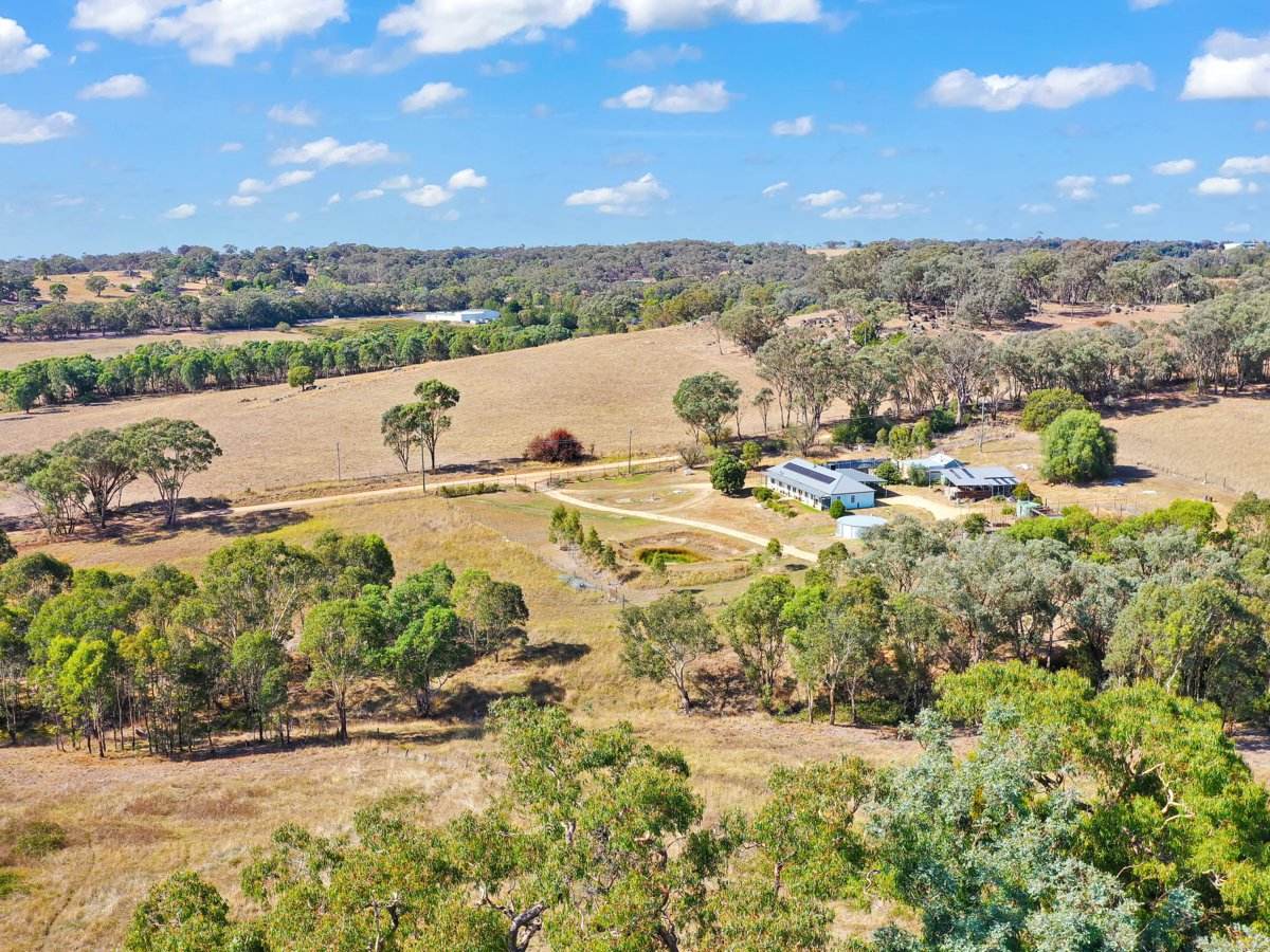100 Hollands Road, Young Sold by Farmbuy.com - image 1