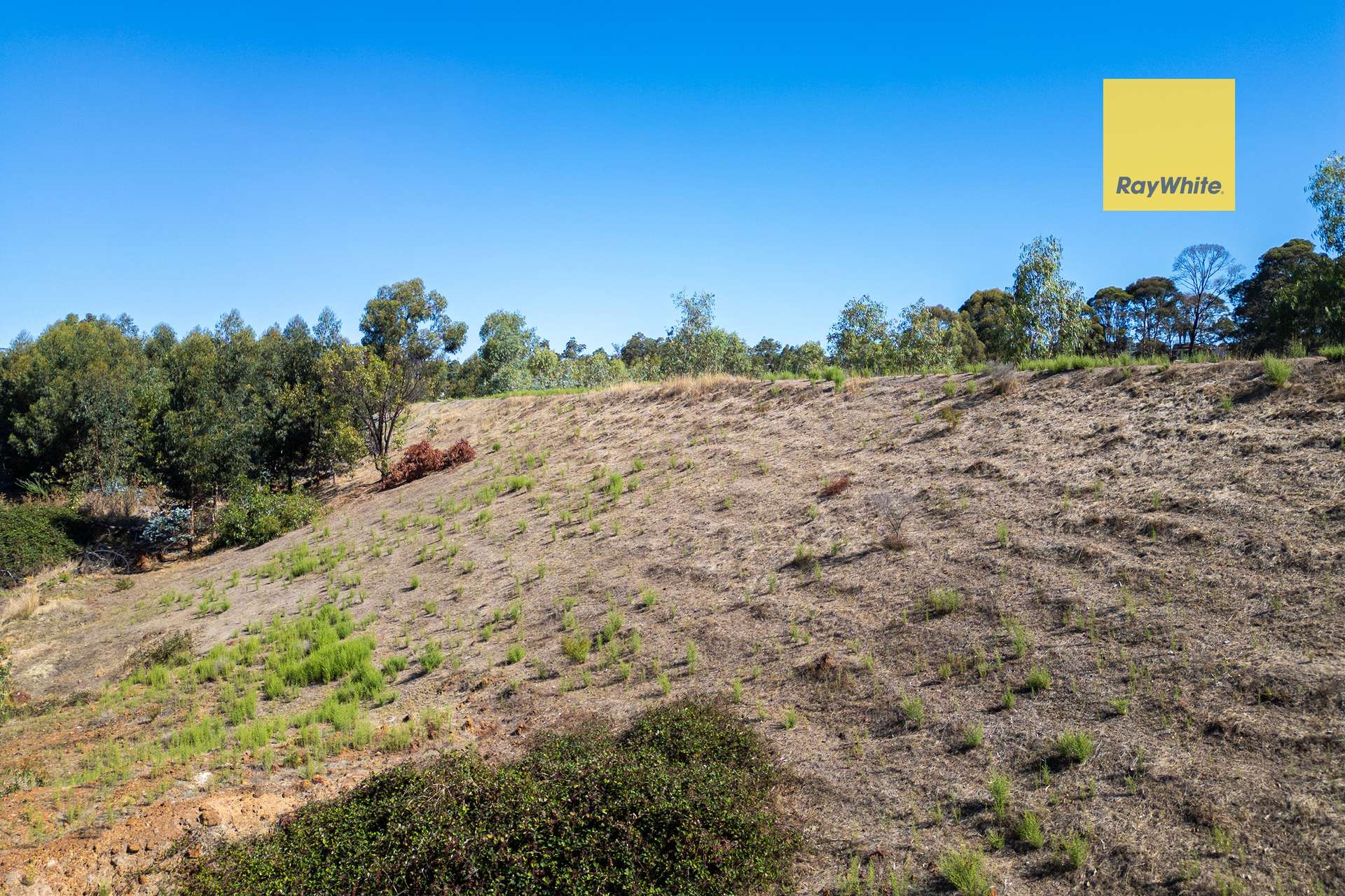 Lot 6 Greenbushes-Grimwade Road, North Greenbushes For Sale by Farmbuy.com - image 6