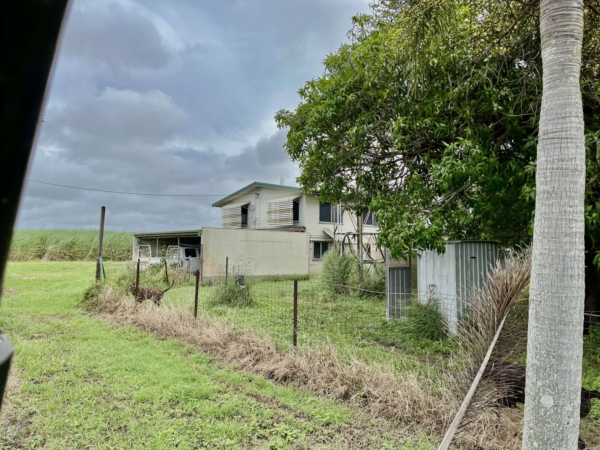 183 Burstall  Road, Ayr For Sale by Farmbuy.com - image 10