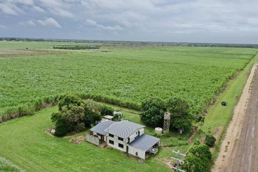 Farm For Sale - QLD - Ayr - 4807 - 93 ACRE CANE FARM WITH HOUSE & SHED - AYR 