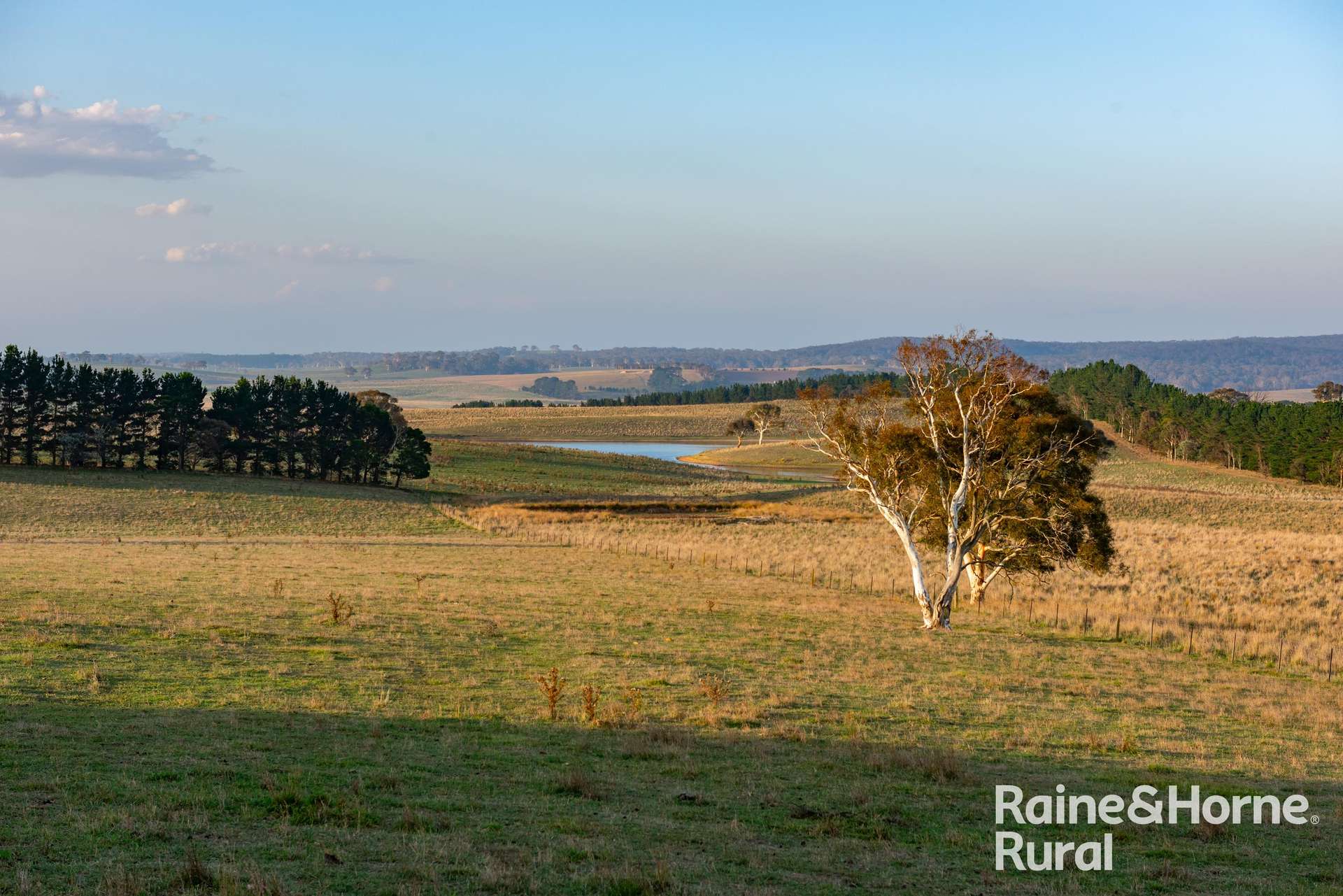 "Inveralochy"/3262 Braidwood Road, Lake Bathurst Sold by Farmbuy.com - image 21