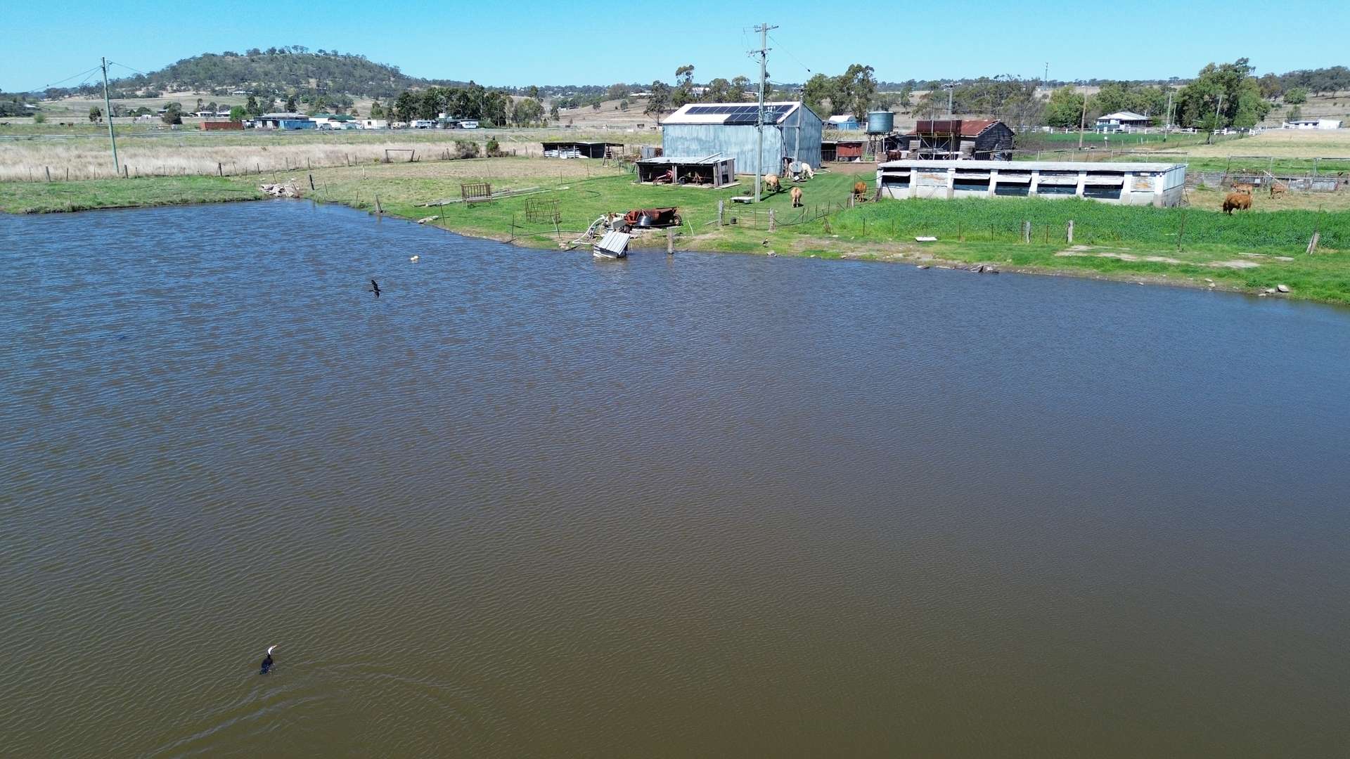 122 Paulsens Road, Gowrie Junction For Sale by Farmbuy.com - image 13