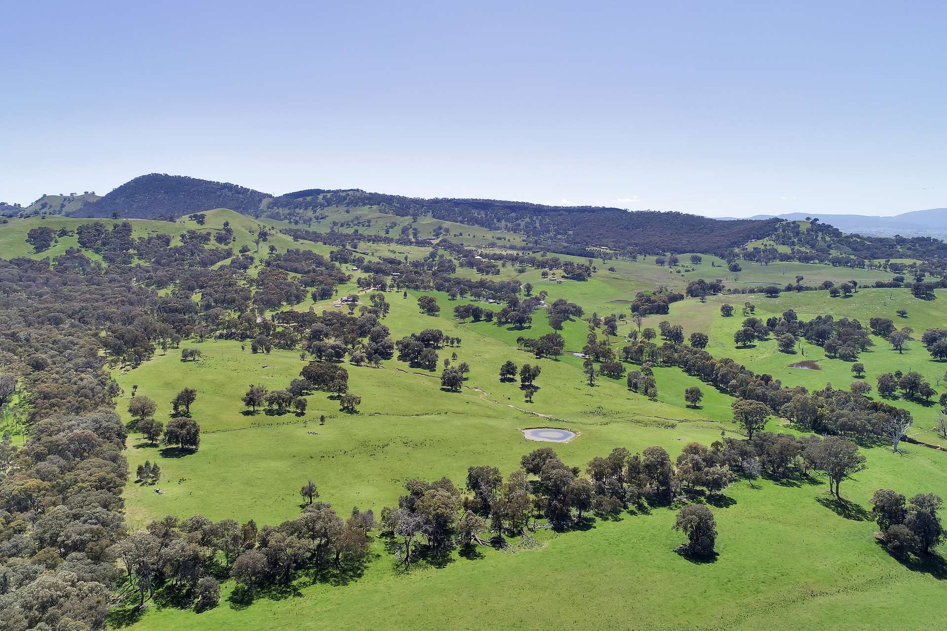 508 Old Tonga Road, Mansfield Sold by Farmbuy.com - image 21