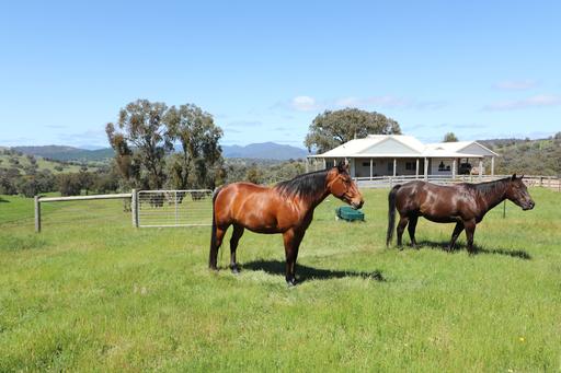 Farm Sold - VIC - Mansfield - 3722 - EMBRACE THE HIGH COUNTRY LIFESTYLE AT 'NIGHT HORSE' 