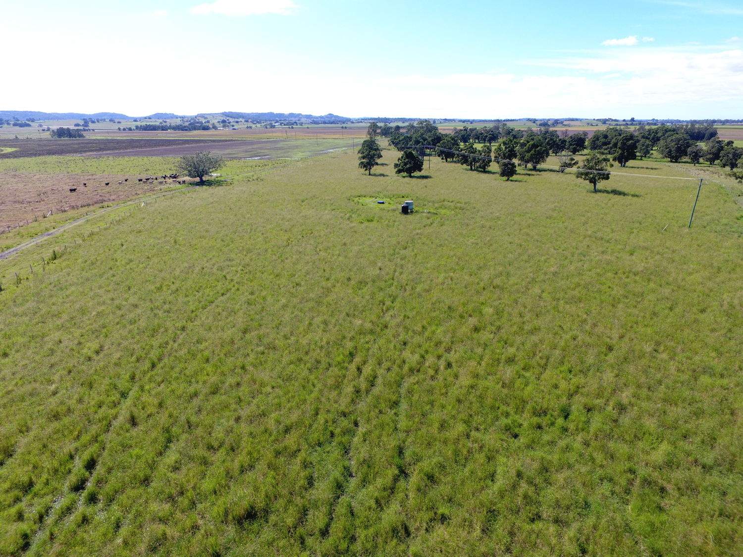 120 Tomki Tatham Road, Clovass For Sale by Farmbuy.com - image 5