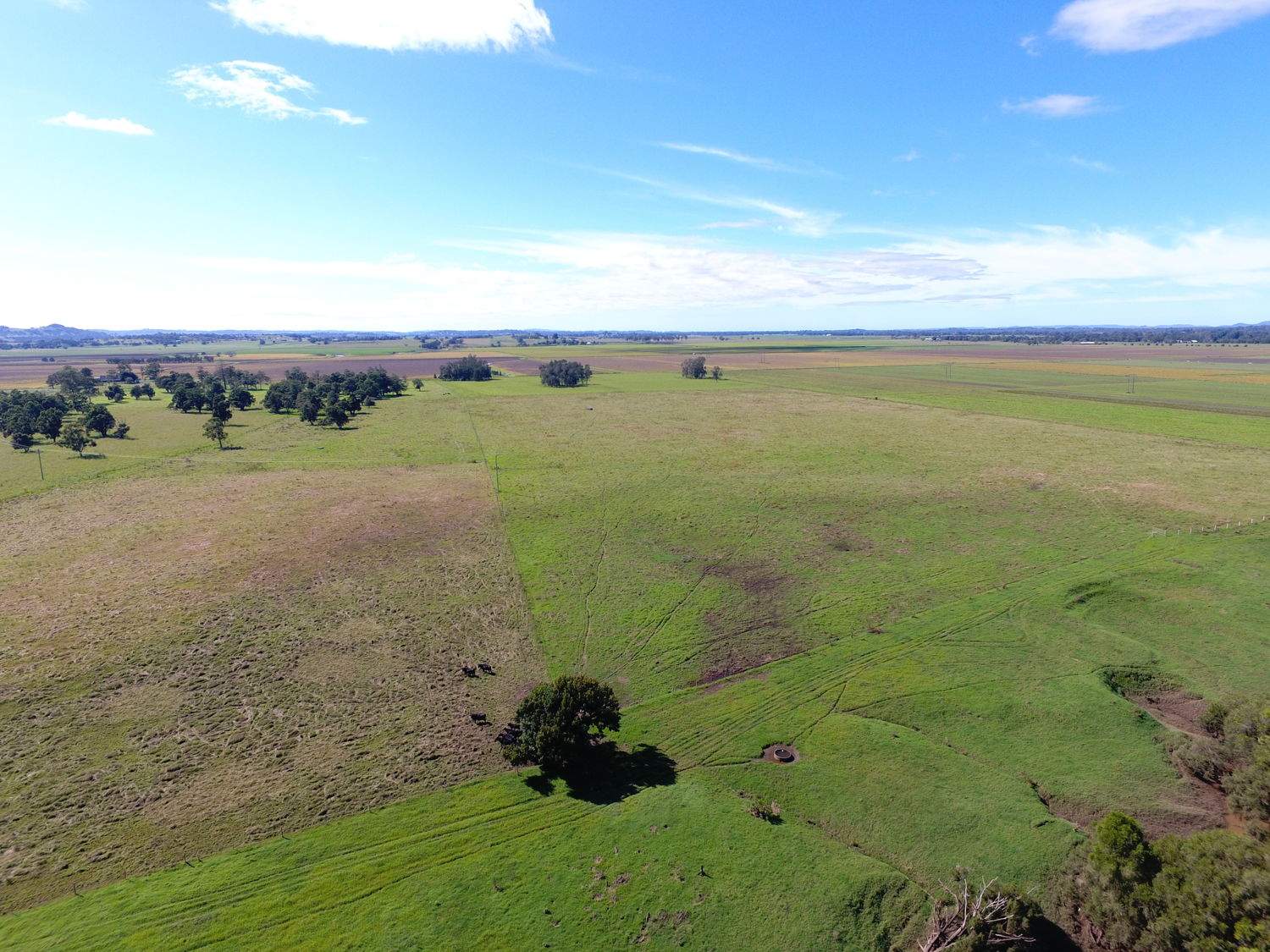 120 Tomki Tatham Road, Clovass For Sale by Farmbuy.com - image 8
