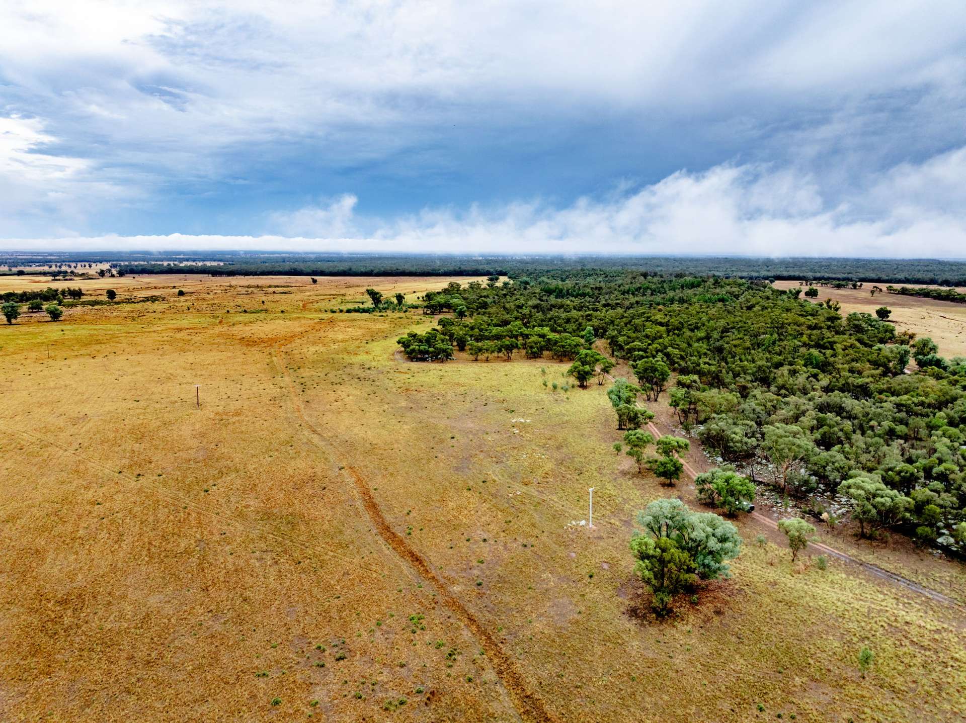 'Tralee' Collingwood Lane, Parkes For Sale by Farmbuy.com - image 1