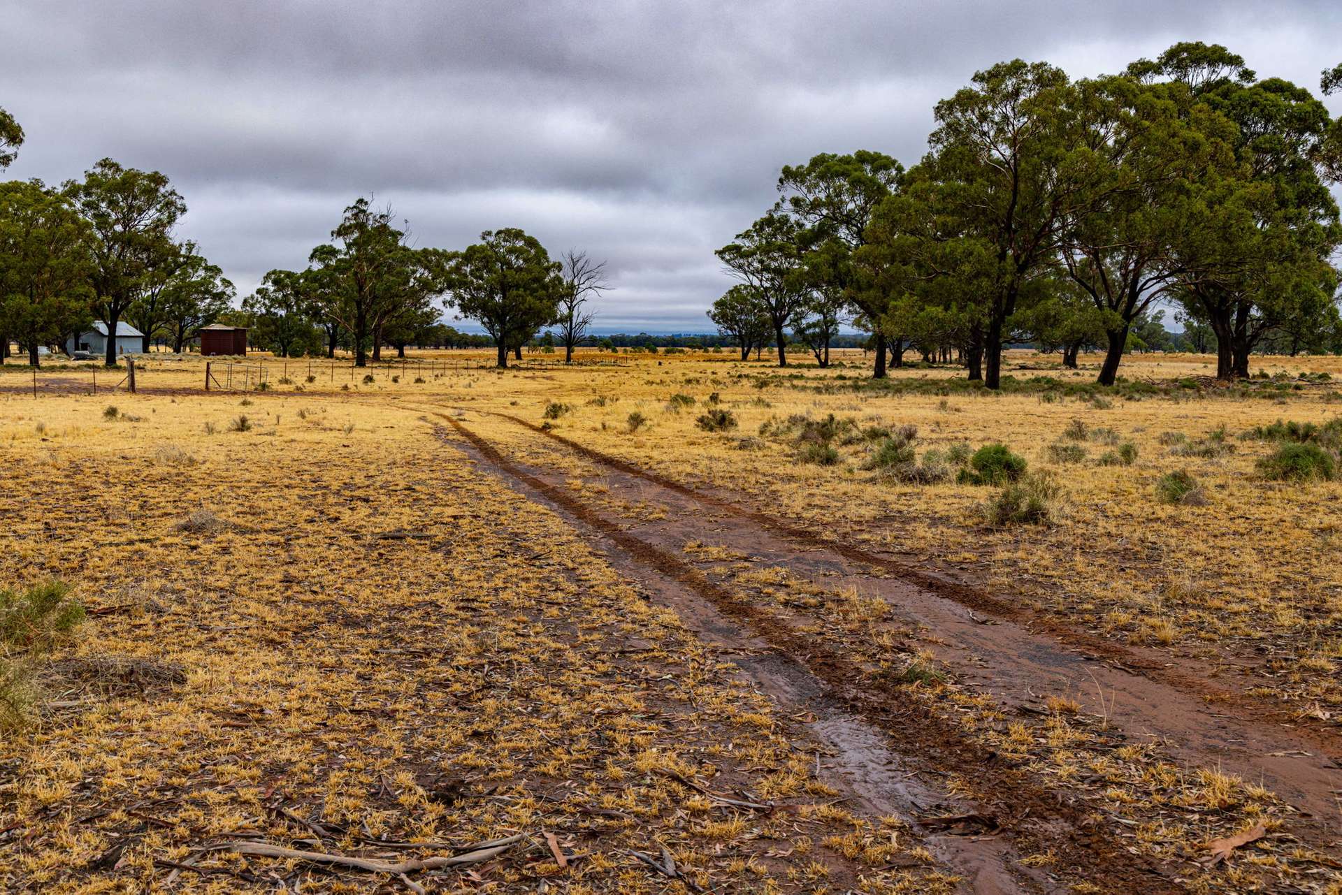 'Tralee' Collingwood Lane, Parkes For Sale by Farmbuy.com - image 18