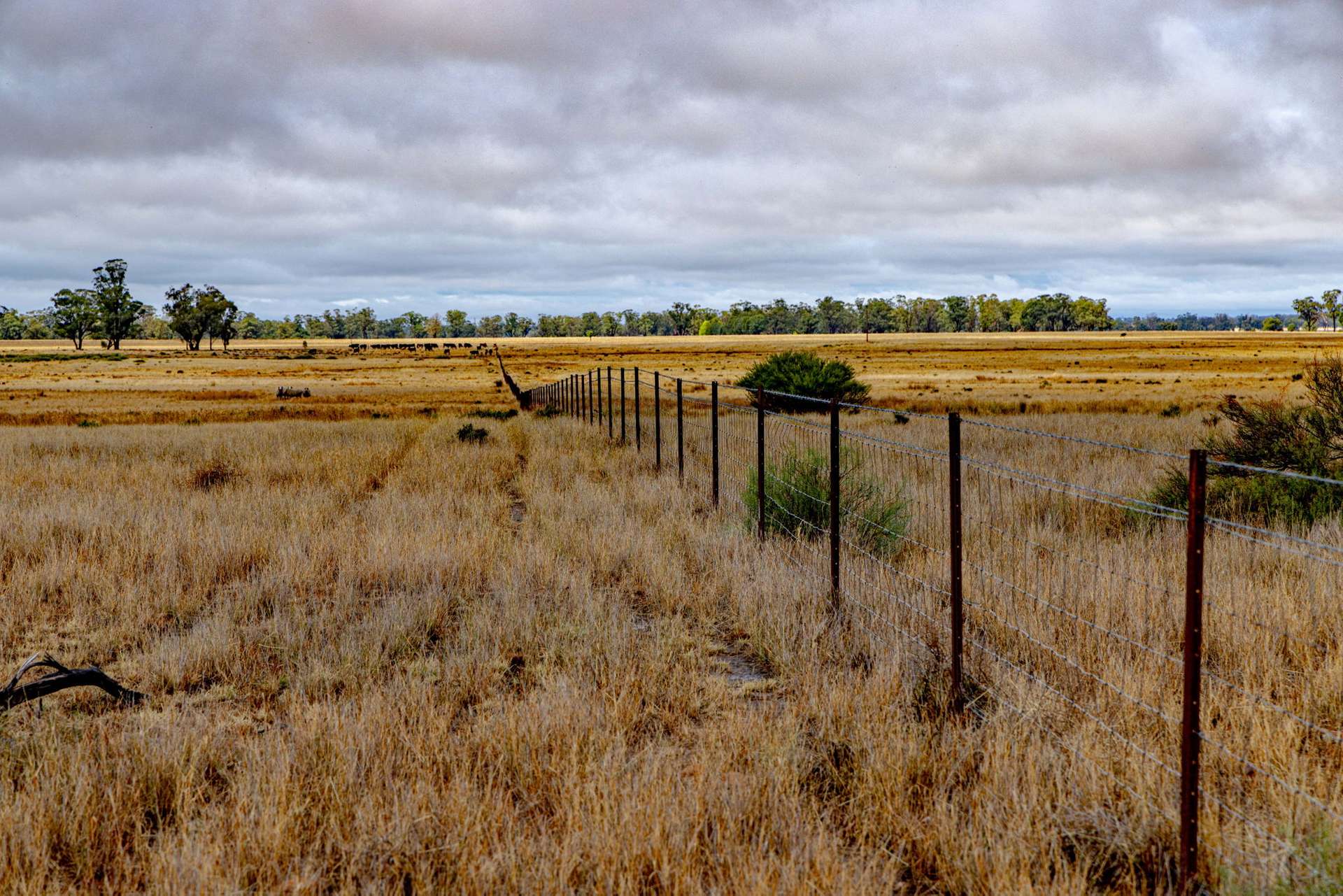 'Tralee' Collingwood Lane, Parkes For Sale by Farmbuy.com - image 3