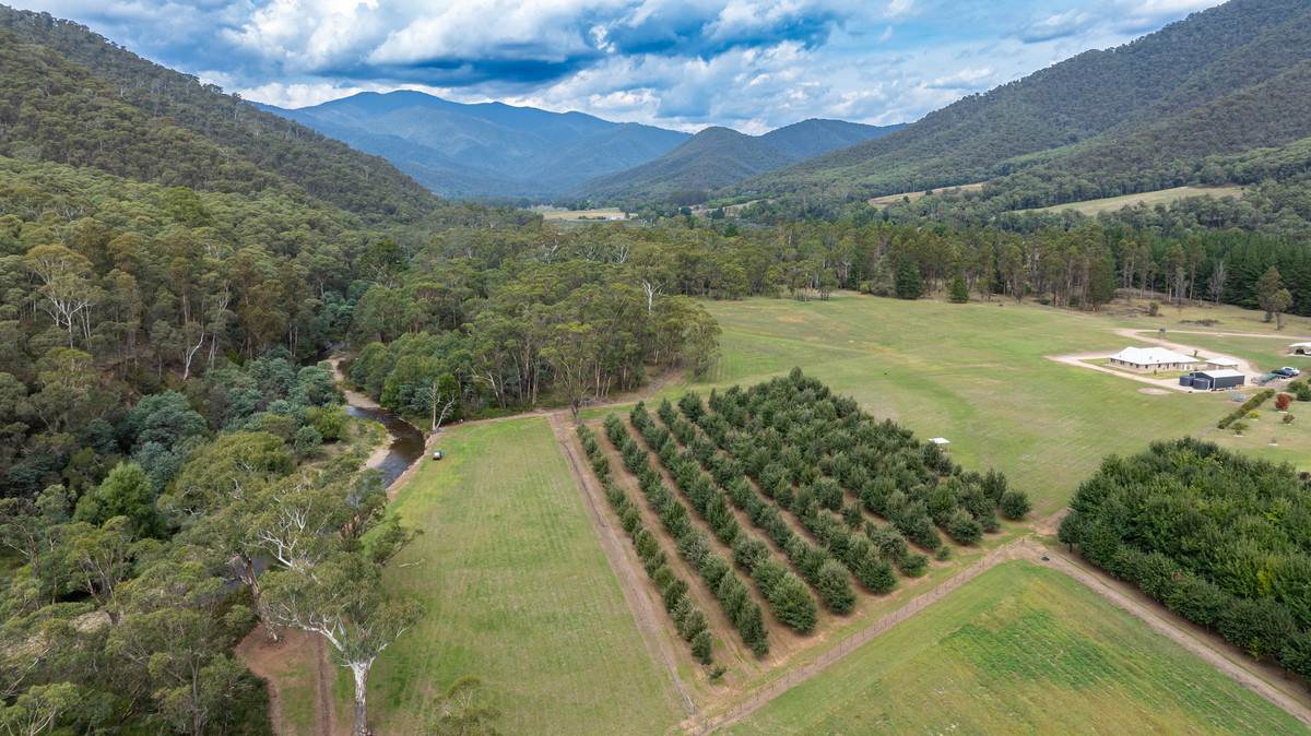 5B McMahons Lane, Smoko For Sale by Farmbuy.com - image 1