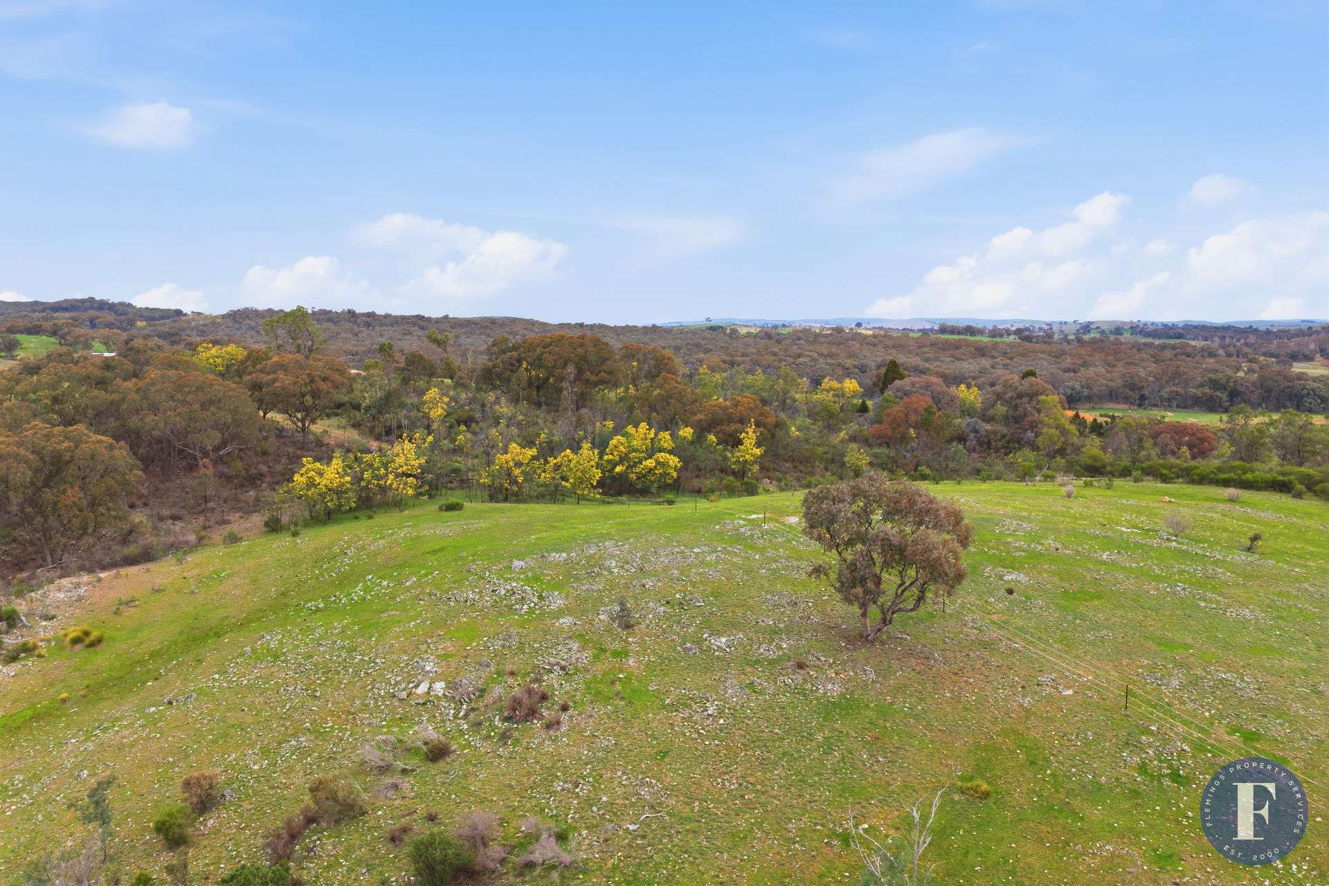 485 Taylors Flat Road, Frogmore For Sale by Farmbuy.com - image 4
