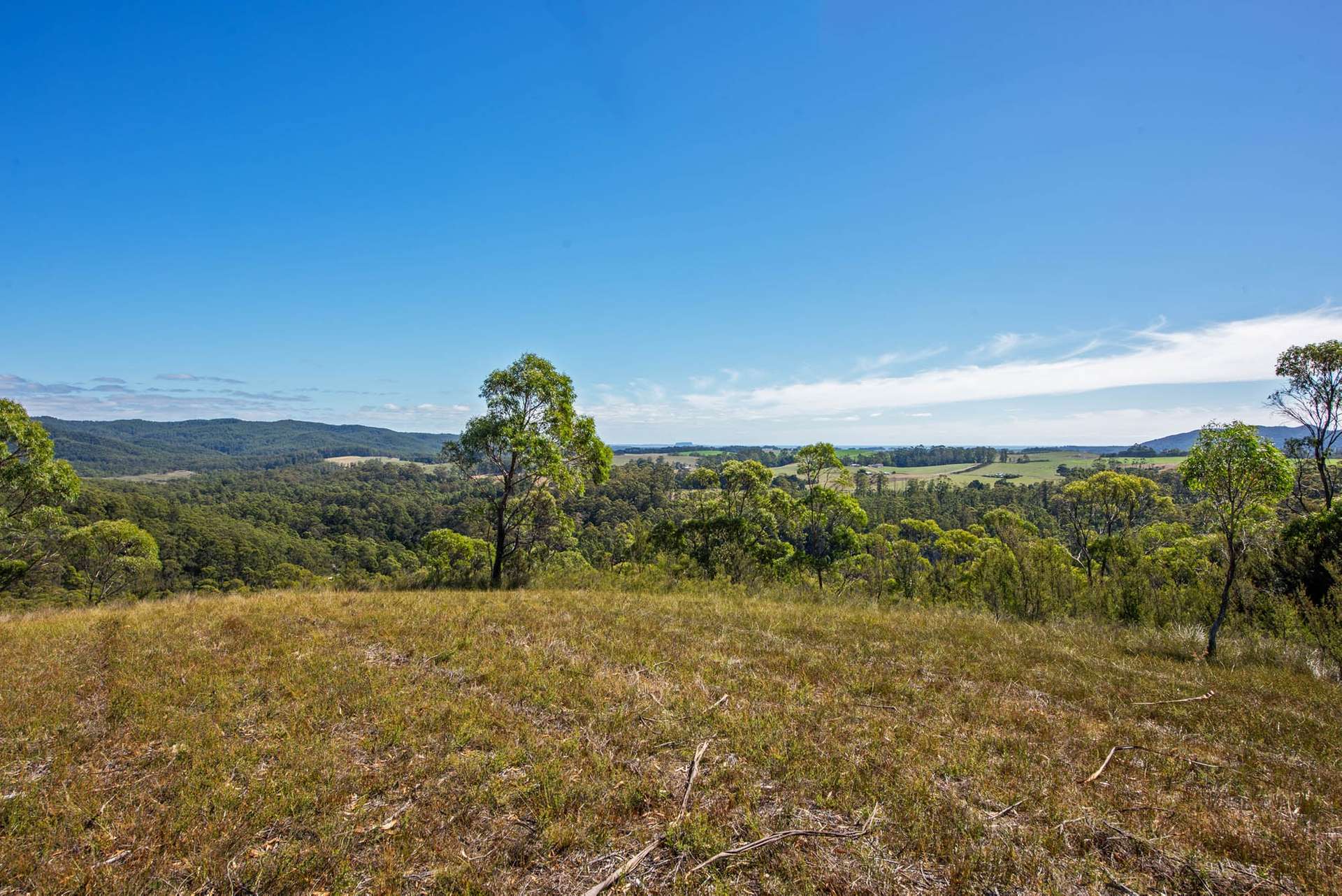 97 Newhaven Road, Montumana For Sale by Farmbuy.com - image 8