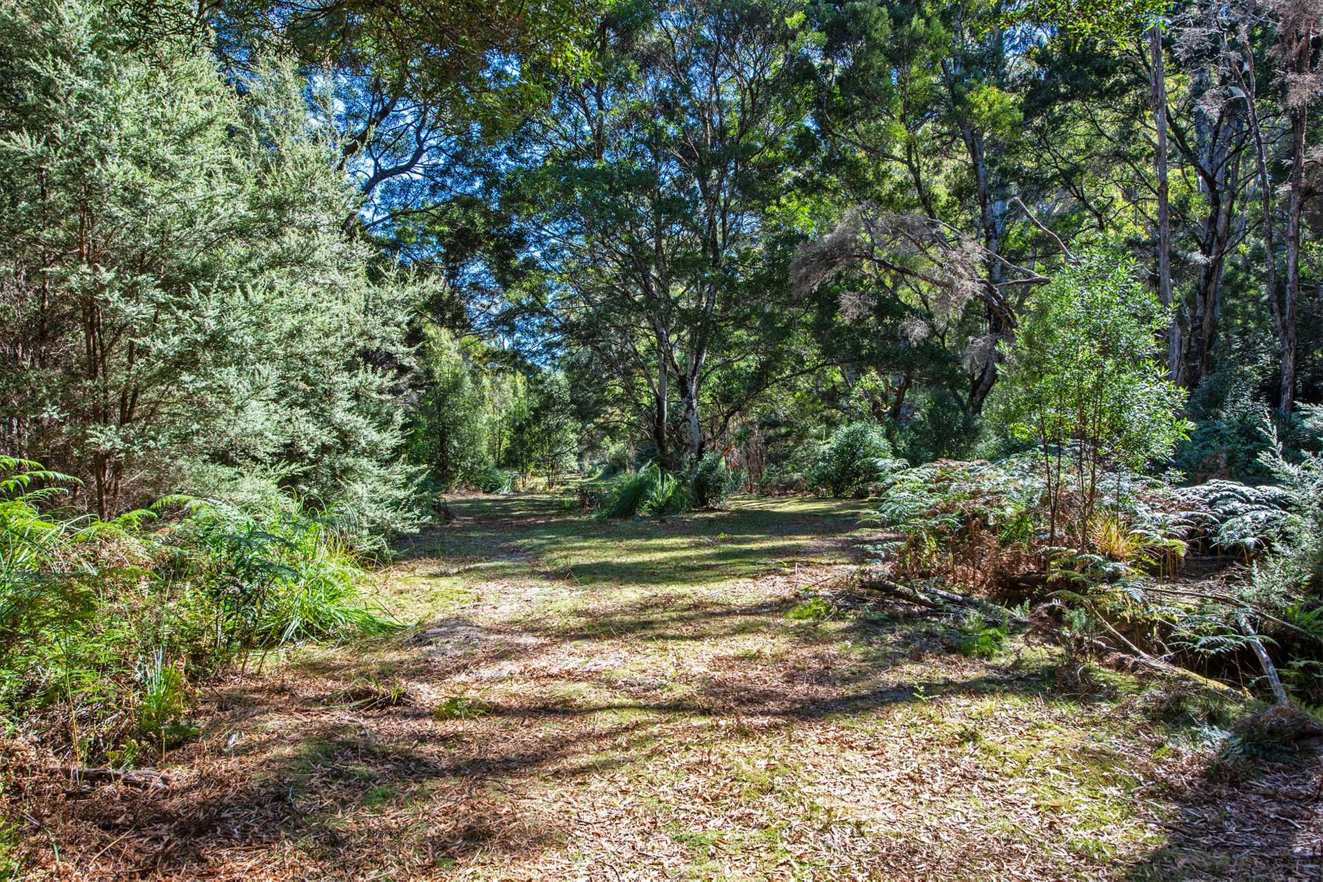 97 Newhaven Road, Montumana For Sale by Farmbuy.com - image 11